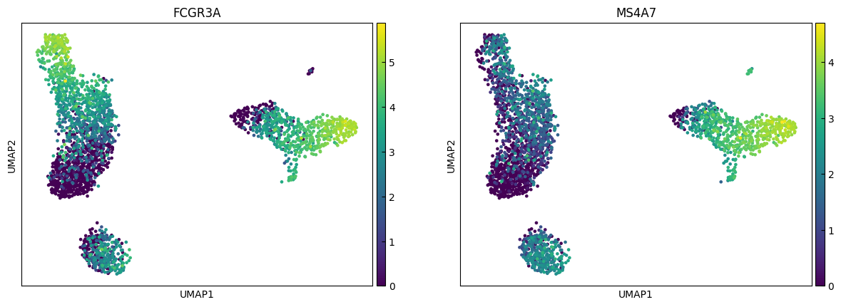 ../_images/Tutorials_Tutorial_RNA_HVG_22_6.png