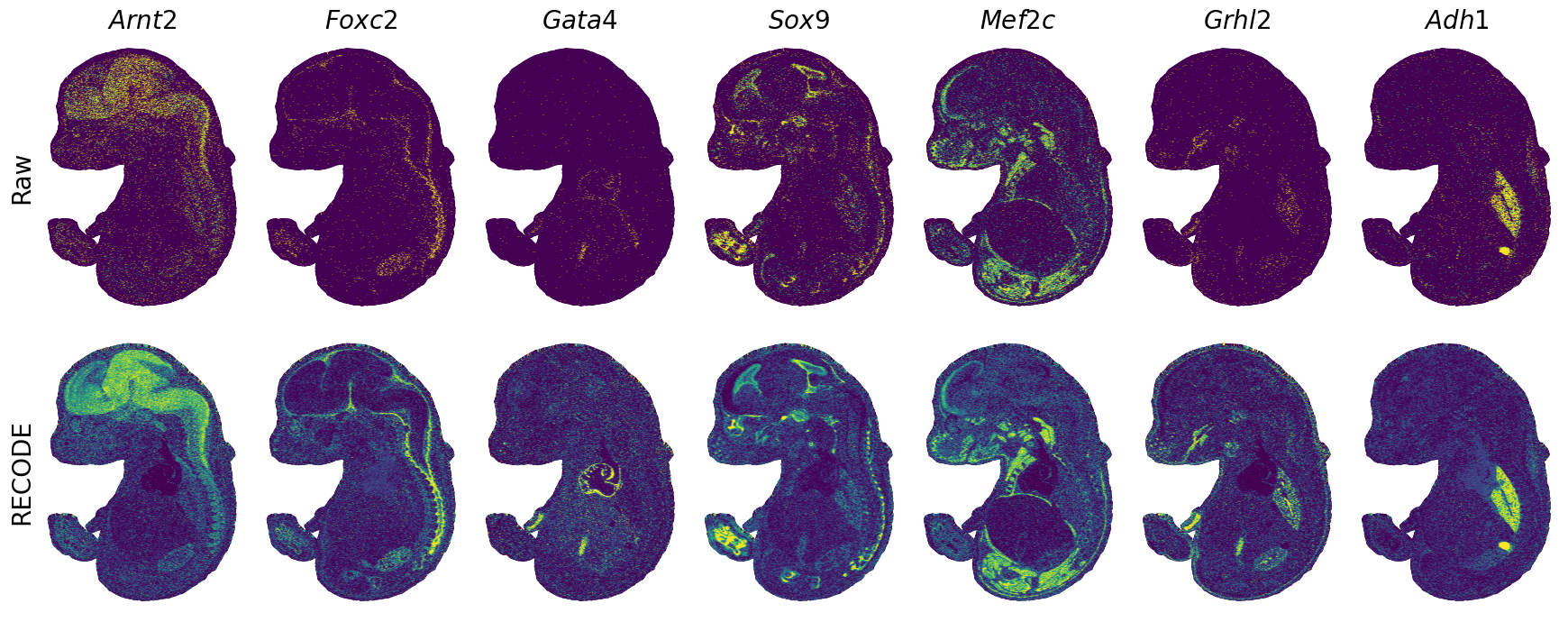 ../_images/Tutorials_Tutorial_SpatialTranscriptome_StereoSeq_16_0.png