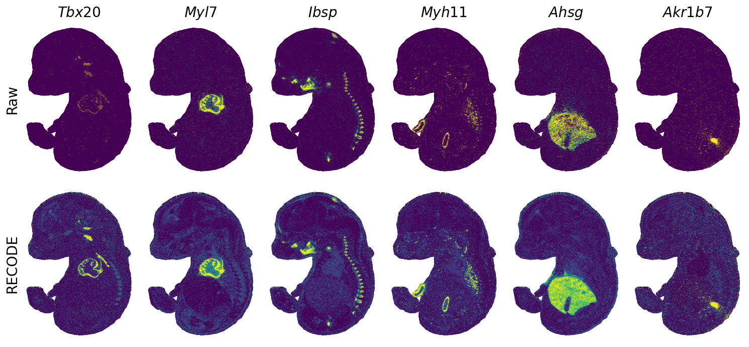 ../_images/Tutorials_Tutorial_SpatialTranscriptome_StereoSeq_16_1.png