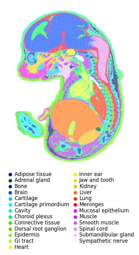 ../_images/Tutorials_Tutorial_SpatialTranscriptome_StereoSeq_6_1.png