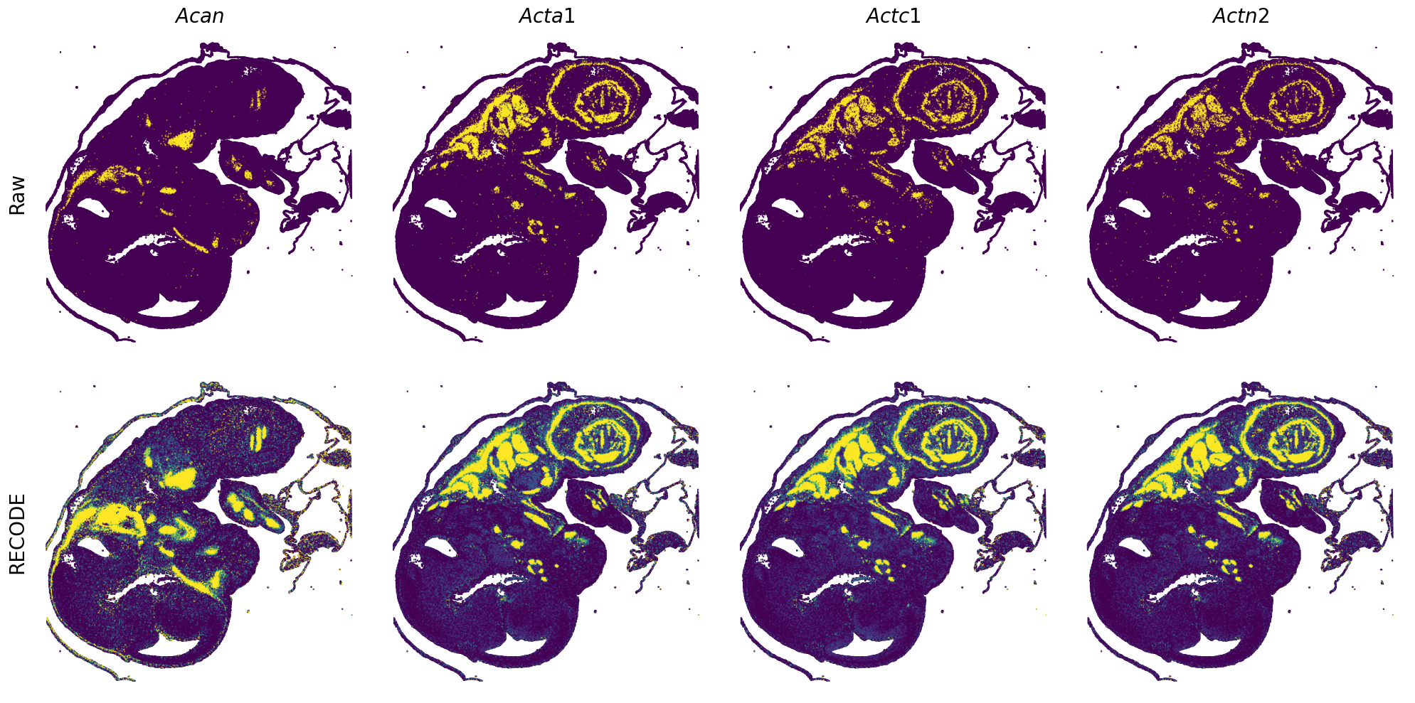 ../_images/Tutorials_Tutorial_SpatialTranscriptome_VisiumHD_14_0.png