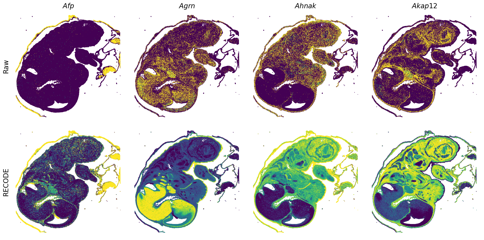 ../_images/Tutorials_Tutorial_SpatialTranscriptome_VisiumHD_14_1.png