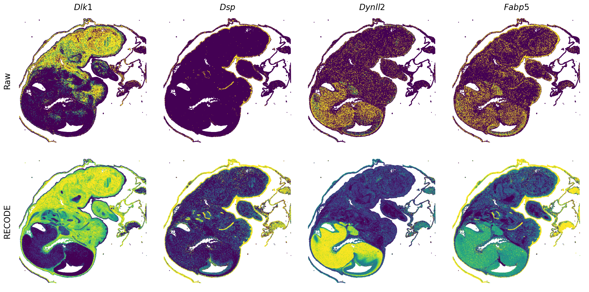 ../_images/Tutorials_Tutorial_SpatialTranscriptome_VisiumHD_14_10.png