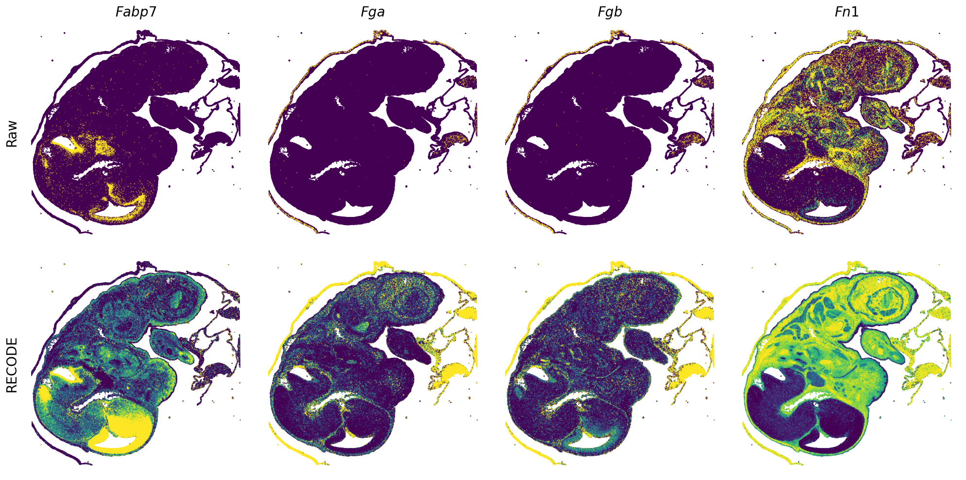 ../_images/Tutorials_Tutorial_SpatialTranscriptome_VisiumHD_14_11.png