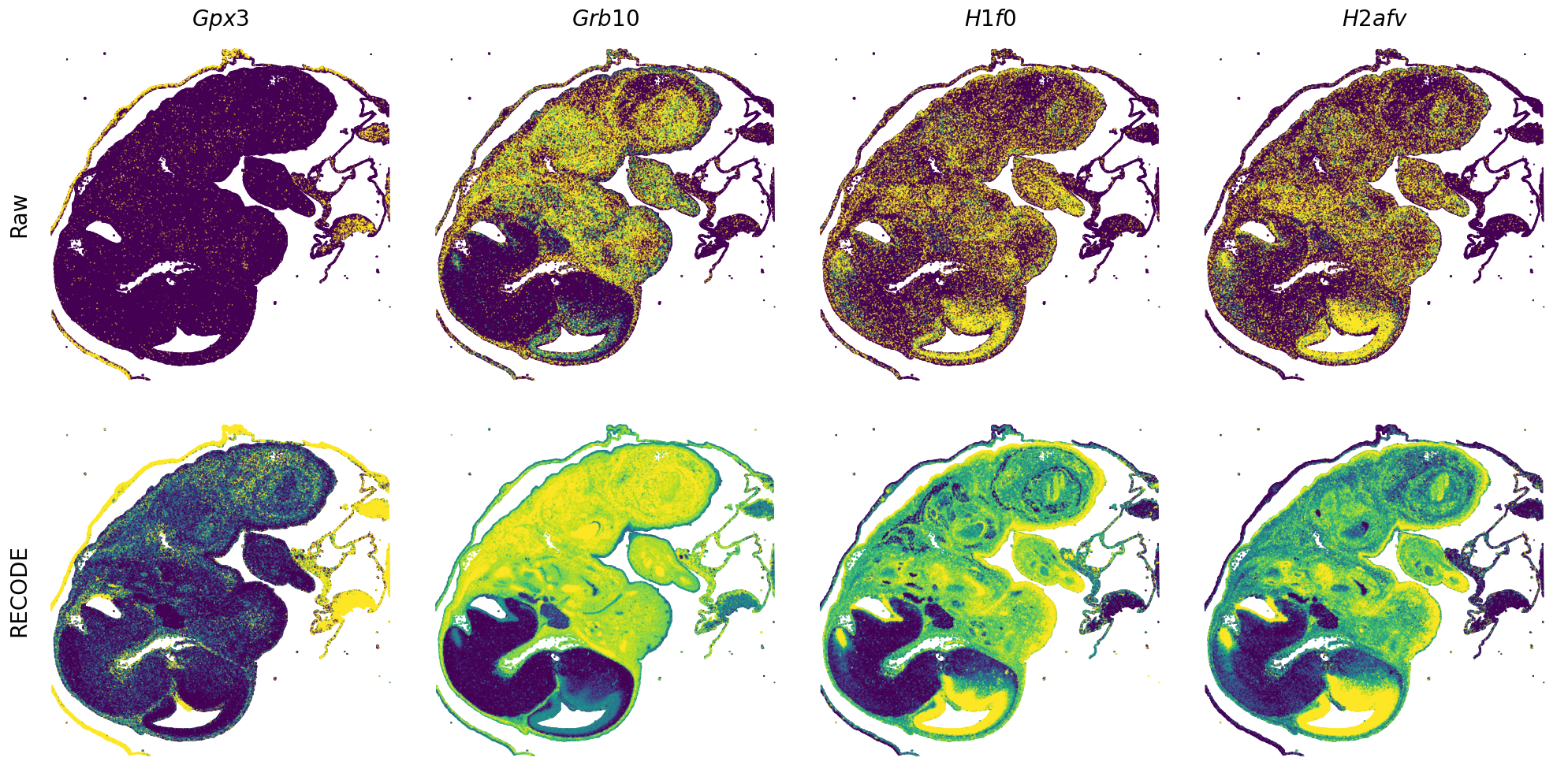 ../_images/Tutorials_Tutorial_SpatialTranscriptome_VisiumHD_14_12.png