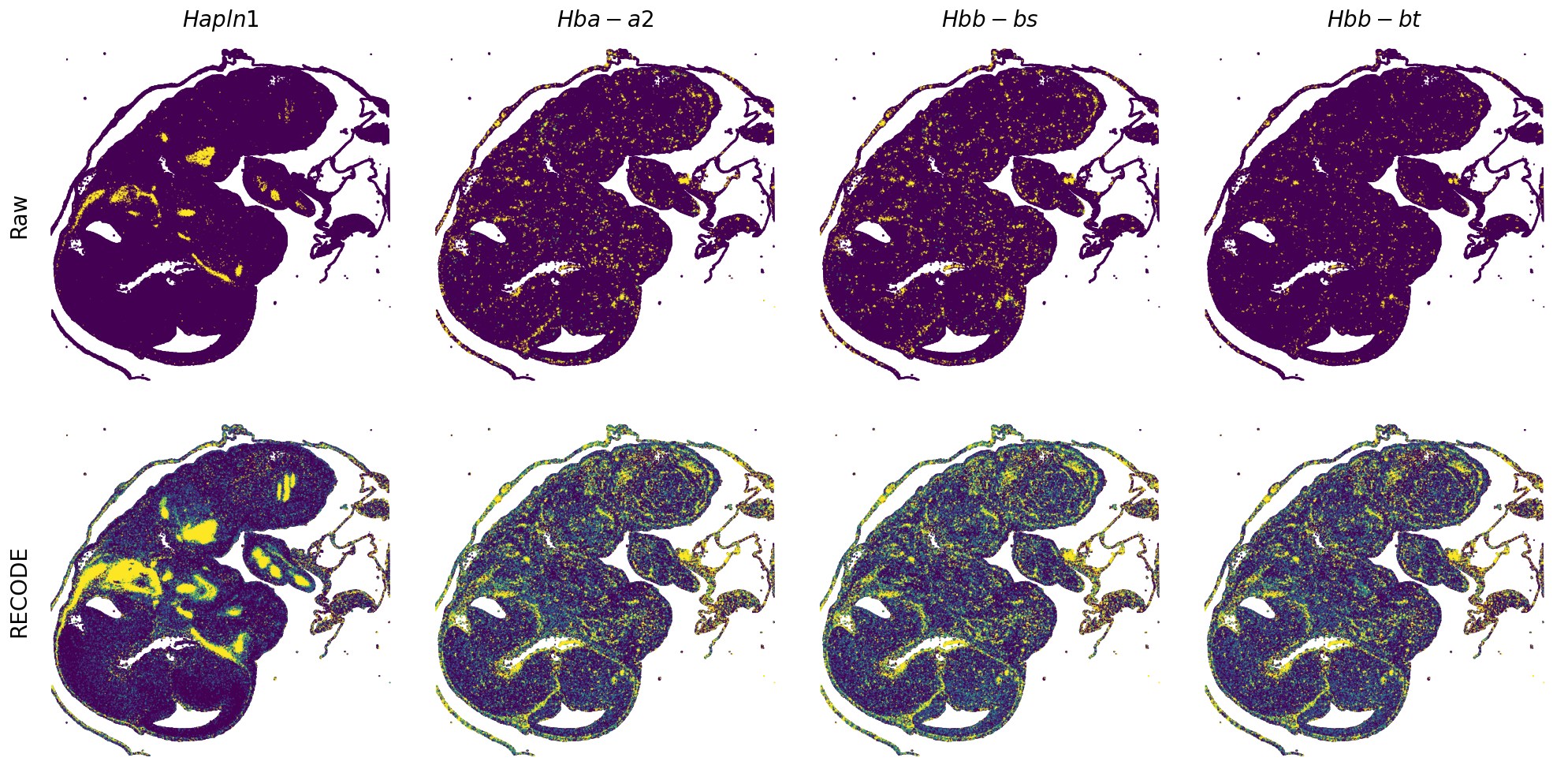 ../_images/Tutorials_Tutorial_SpatialTranscriptome_VisiumHD_14_13.png