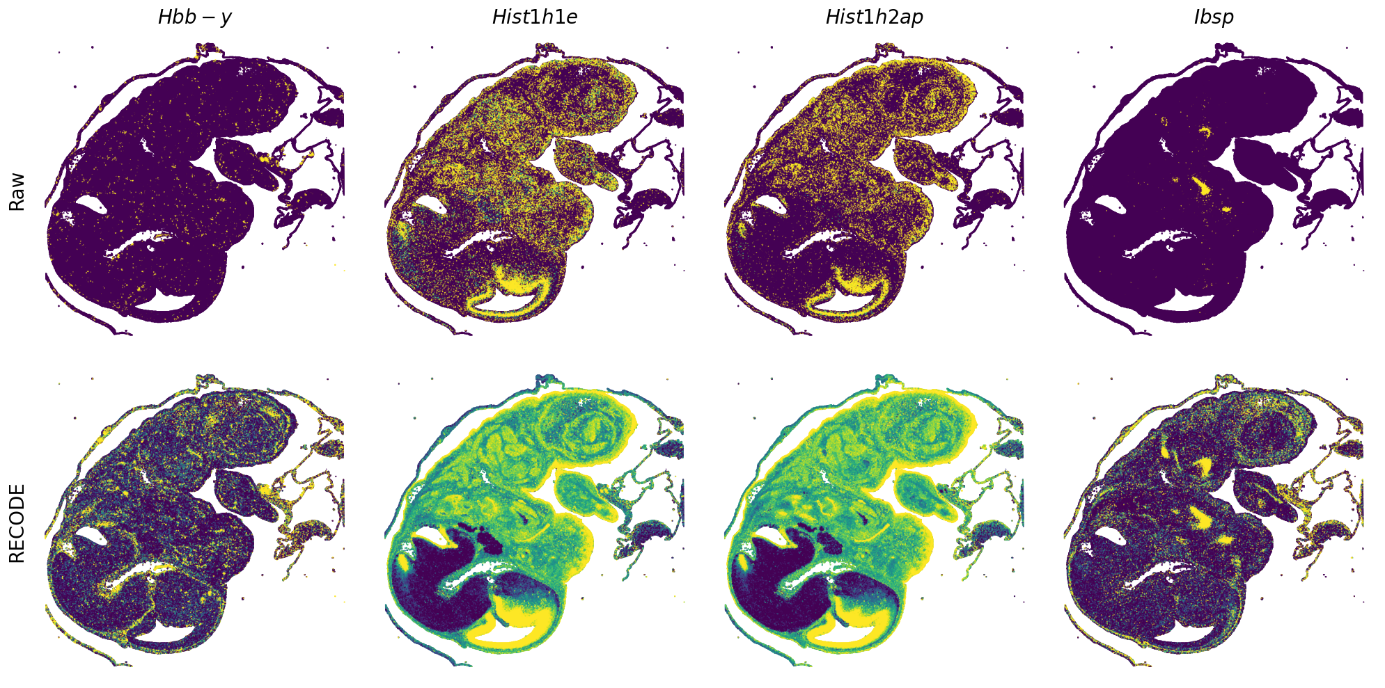 ../_images/Tutorials_Tutorial_SpatialTranscriptome_VisiumHD_14_14.png