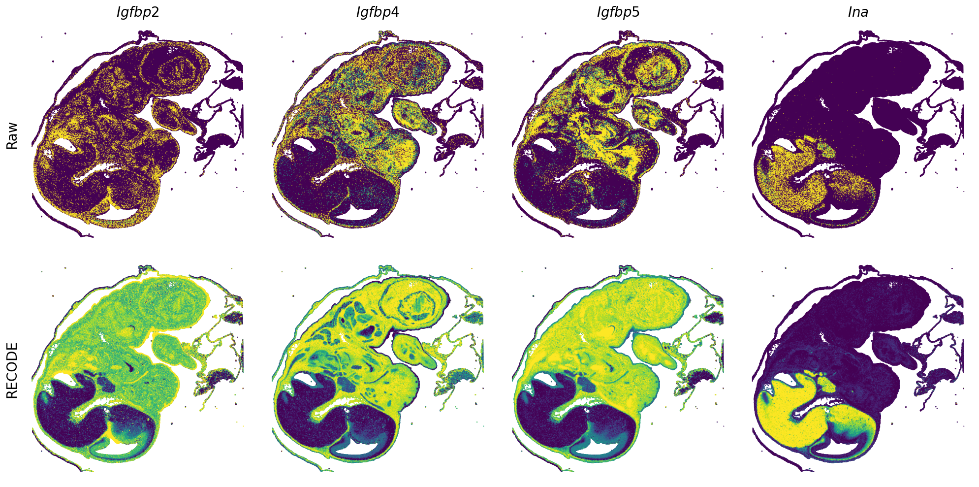 ../_images/Tutorials_Tutorial_SpatialTranscriptome_VisiumHD_14_15.png