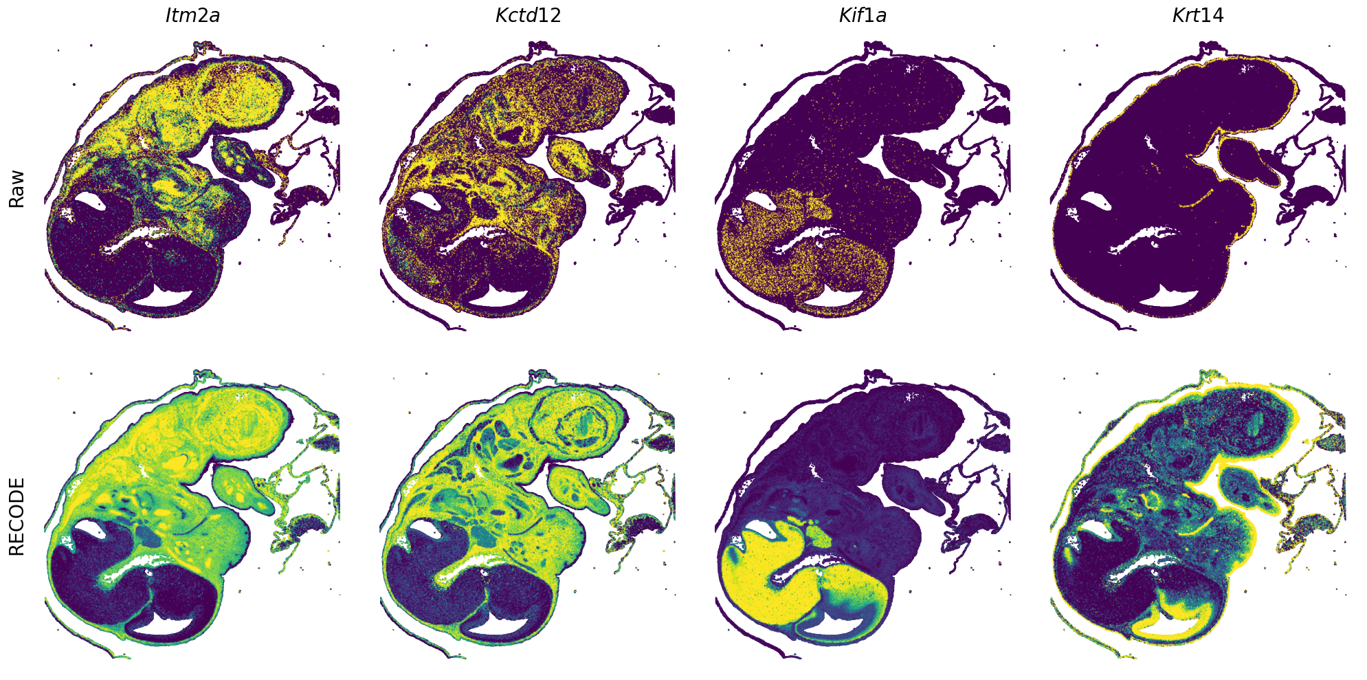 ../_images/Tutorials_Tutorial_SpatialTranscriptome_VisiumHD_14_16.png