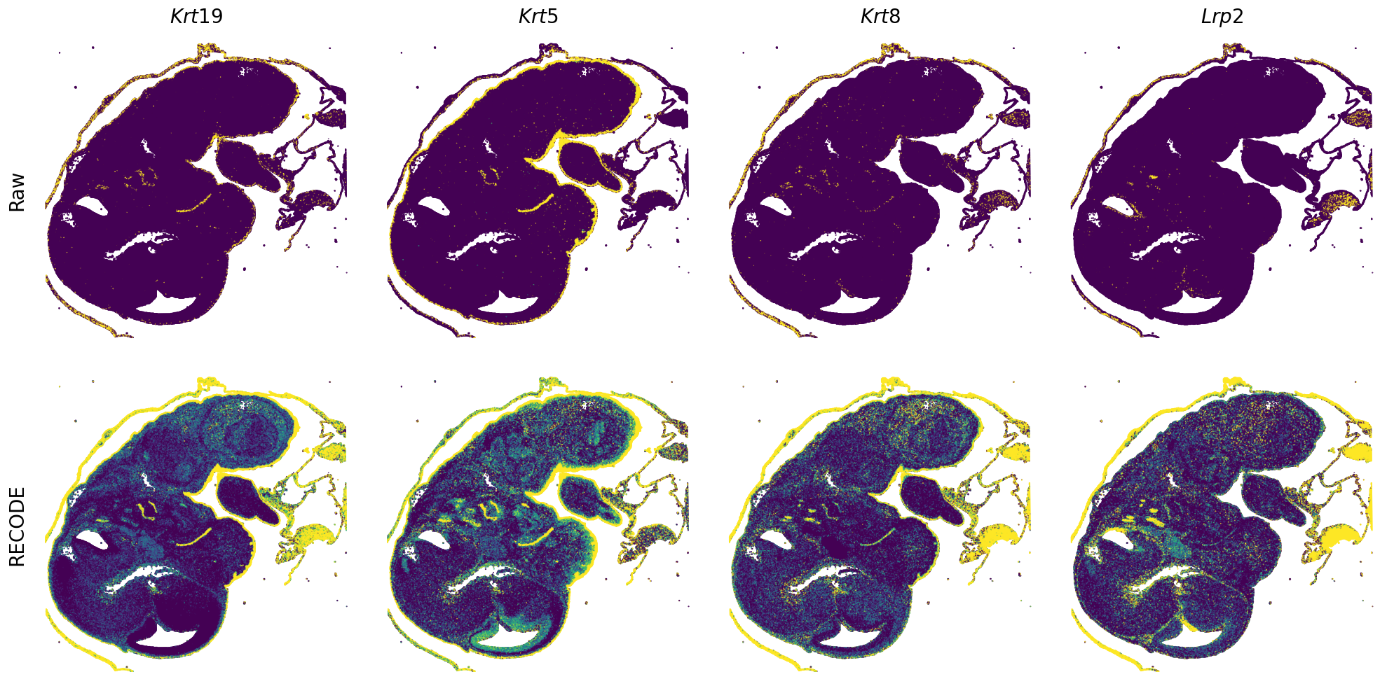 ../_images/Tutorials_Tutorial_SpatialTranscriptome_VisiumHD_14_17.png