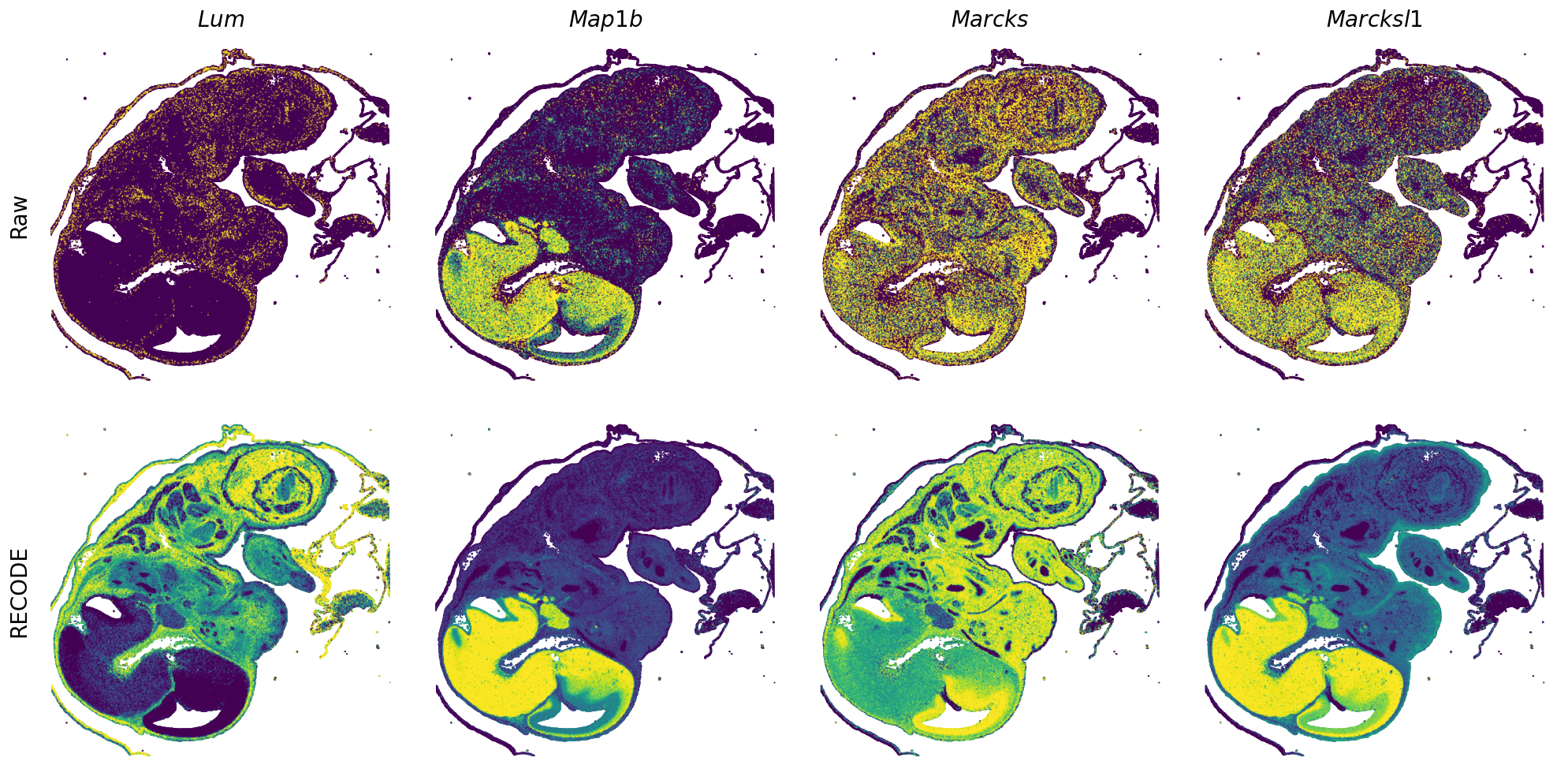 ../_images/Tutorials_Tutorial_SpatialTranscriptome_VisiumHD_14_18.png