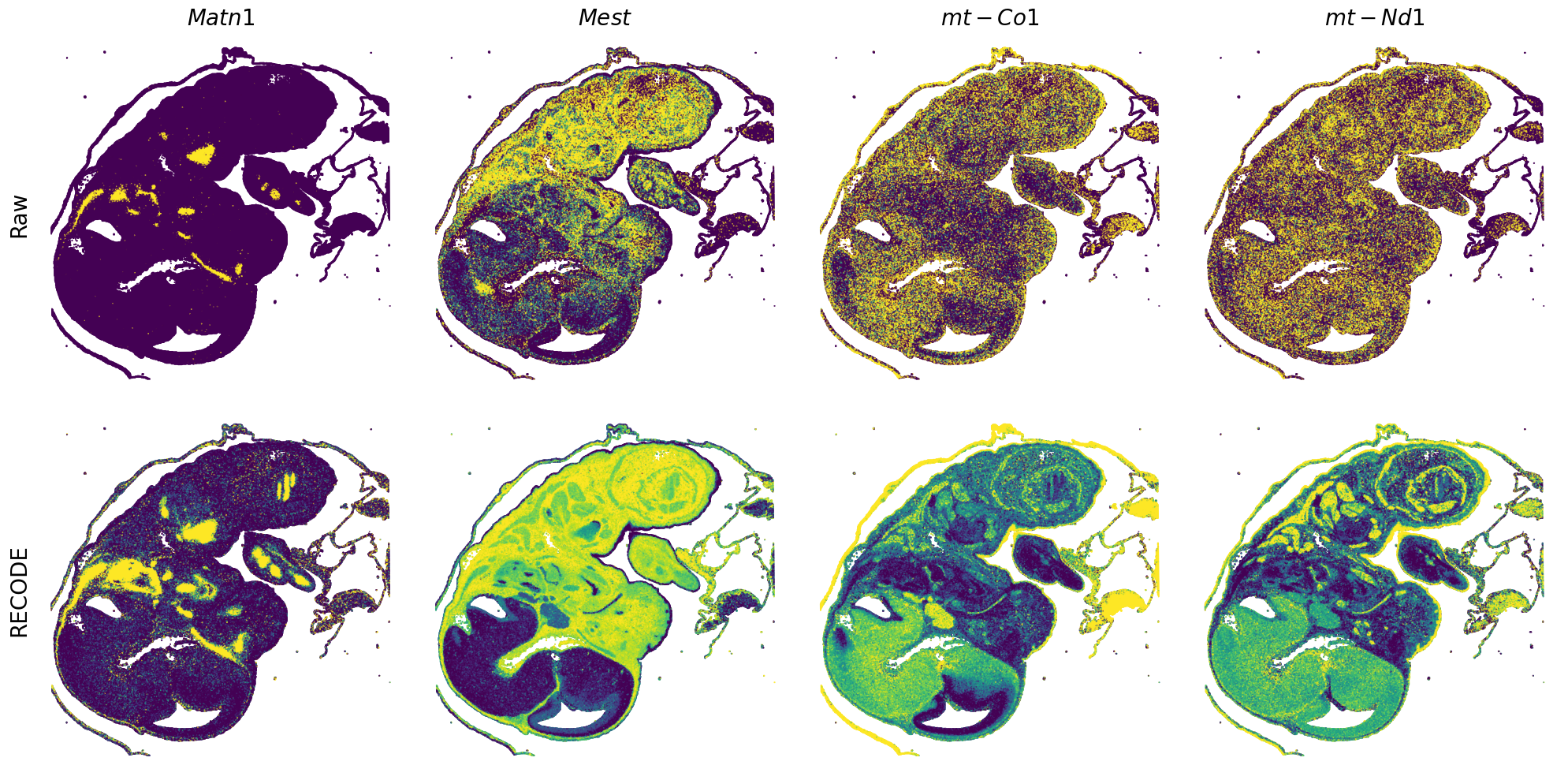 ../_images/Tutorials_Tutorial_SpatialTranscriptome_VisiumHD_14_19.png