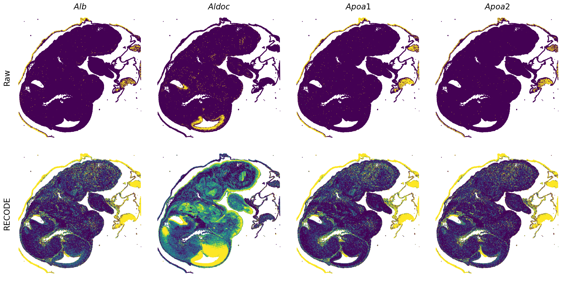 ../_images/Tutorials_Tutorial_SpatialTranscriptome_VisiumHD_14_2.png