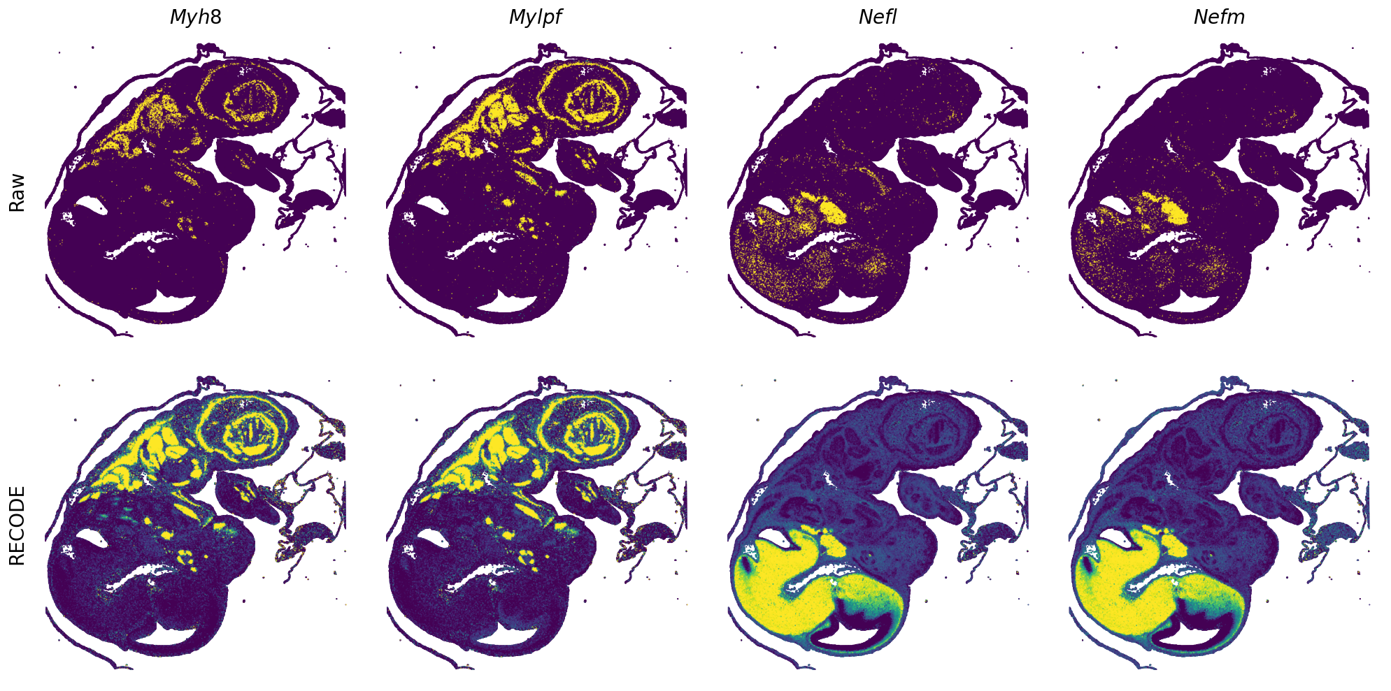 ../_images/Tutorials_Tutorial_SpatialTranscriptome_VisiumHD_14_20.png