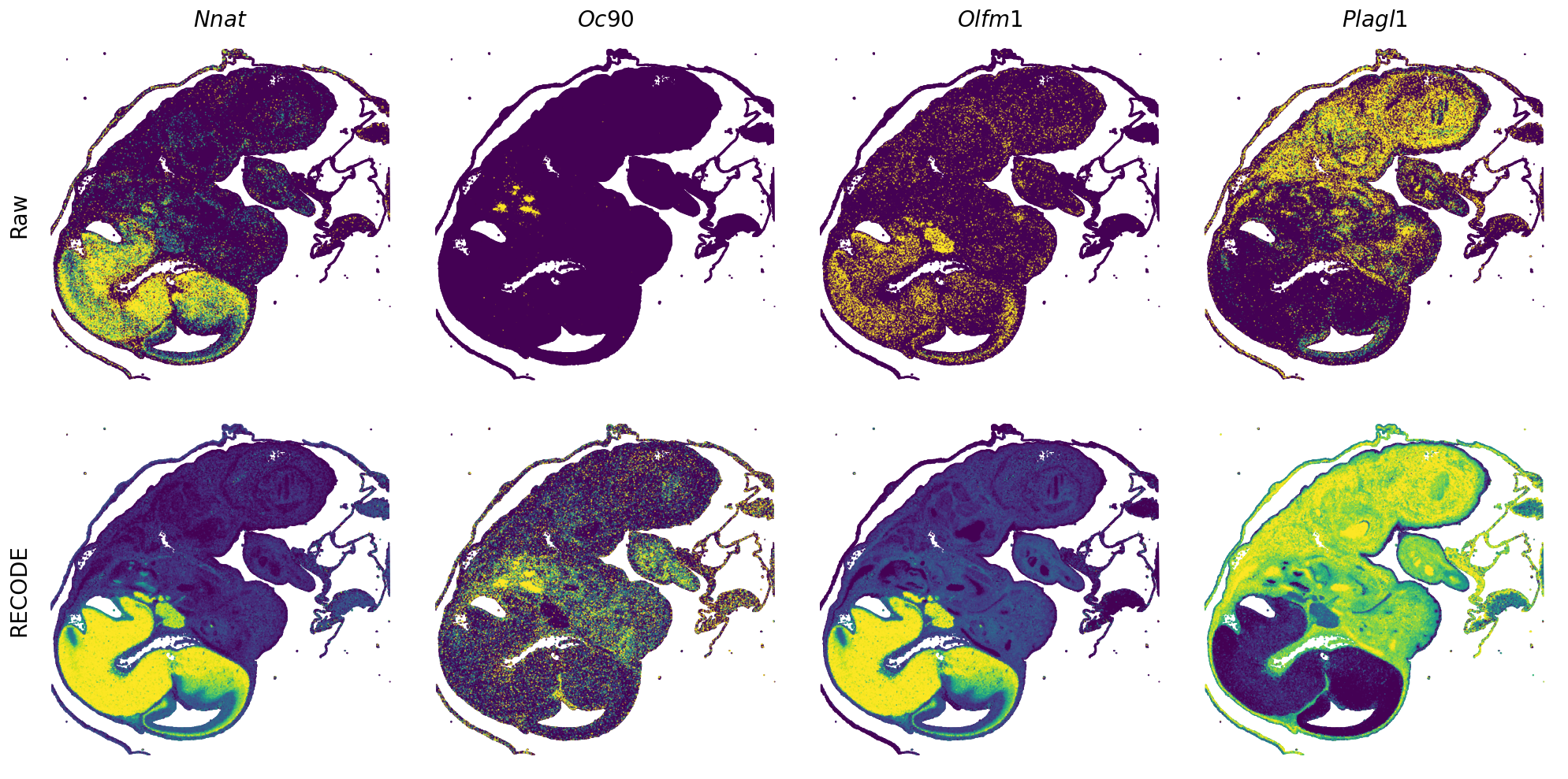 ../_images/Tutorials_Tutorial_SpatialTranscriptome_VisiumHD_14_21.png