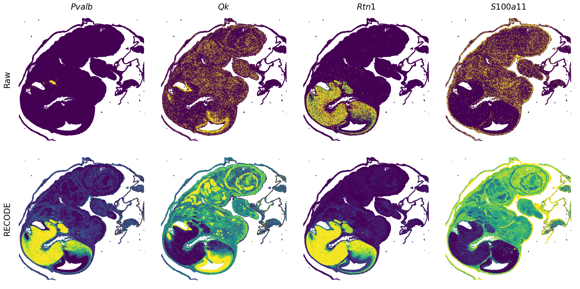 ../_images/Tutorials_Tutorial_SpatialTranscriptome_VisiumHD_14_23.png