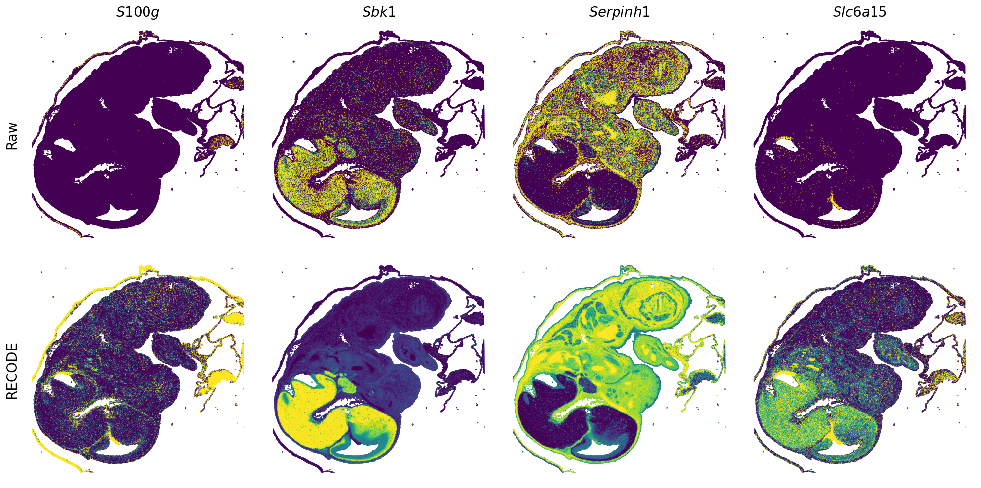 ../_images/Tutorials_Tutorial_SpatialTranscriptome_VisiumHD_14_24.png