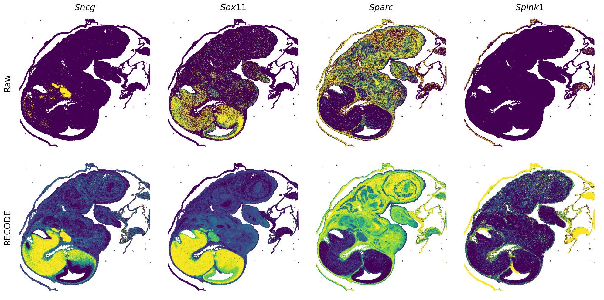 ../_images/Tutorials_Tutorial_SpatialTranscriptome_VisiumHD_14_25.png