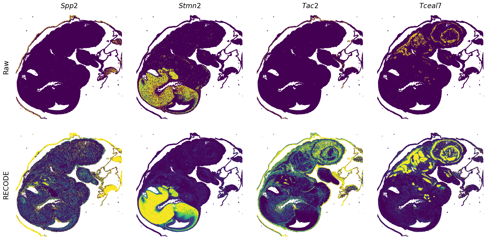 ../_images/Tutorials_Tutorial_SpatialTranscriptome_VisiumHD_14_26.png