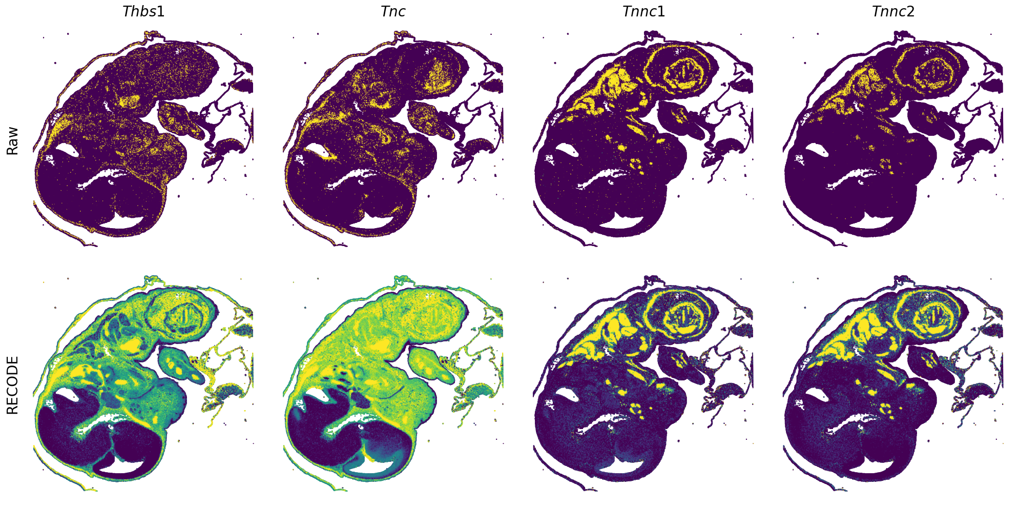 ../_images/Tutorials_Tutorial_SpatialTranscriptome_VisiumHD_14_27.png