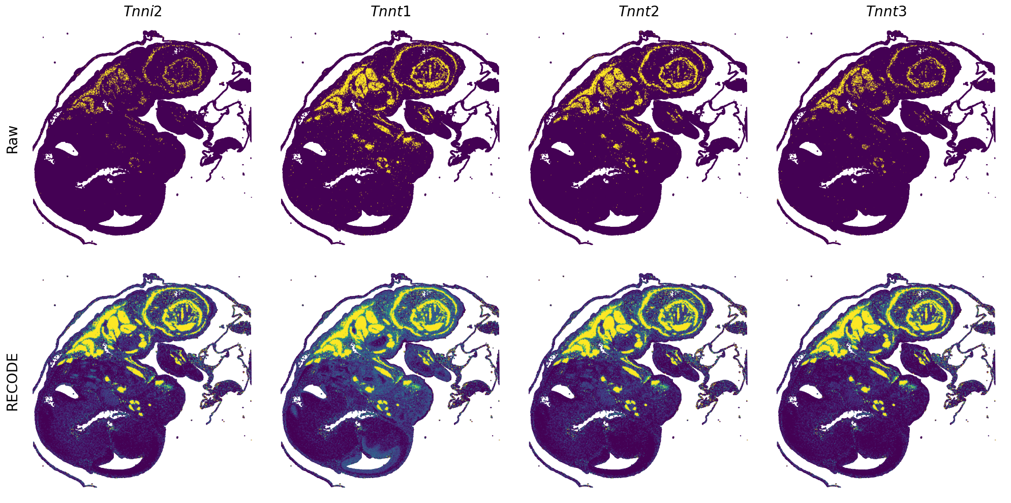 ../_images/Tutorials_Tutorial_SpatialTranscriptome_VisiumHD_14_28.png