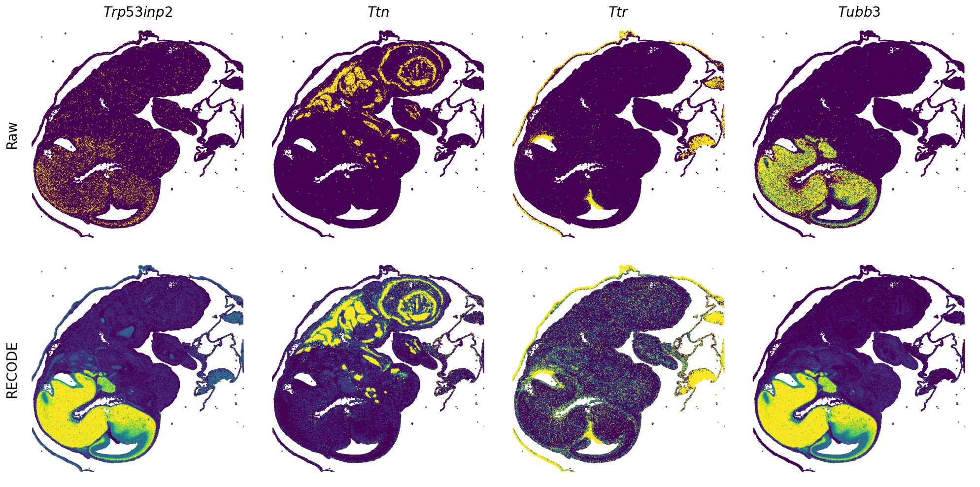 ../_images/Tutorials_Tutorial_SpatialTranscriptome_VisiumHD_14_29.png