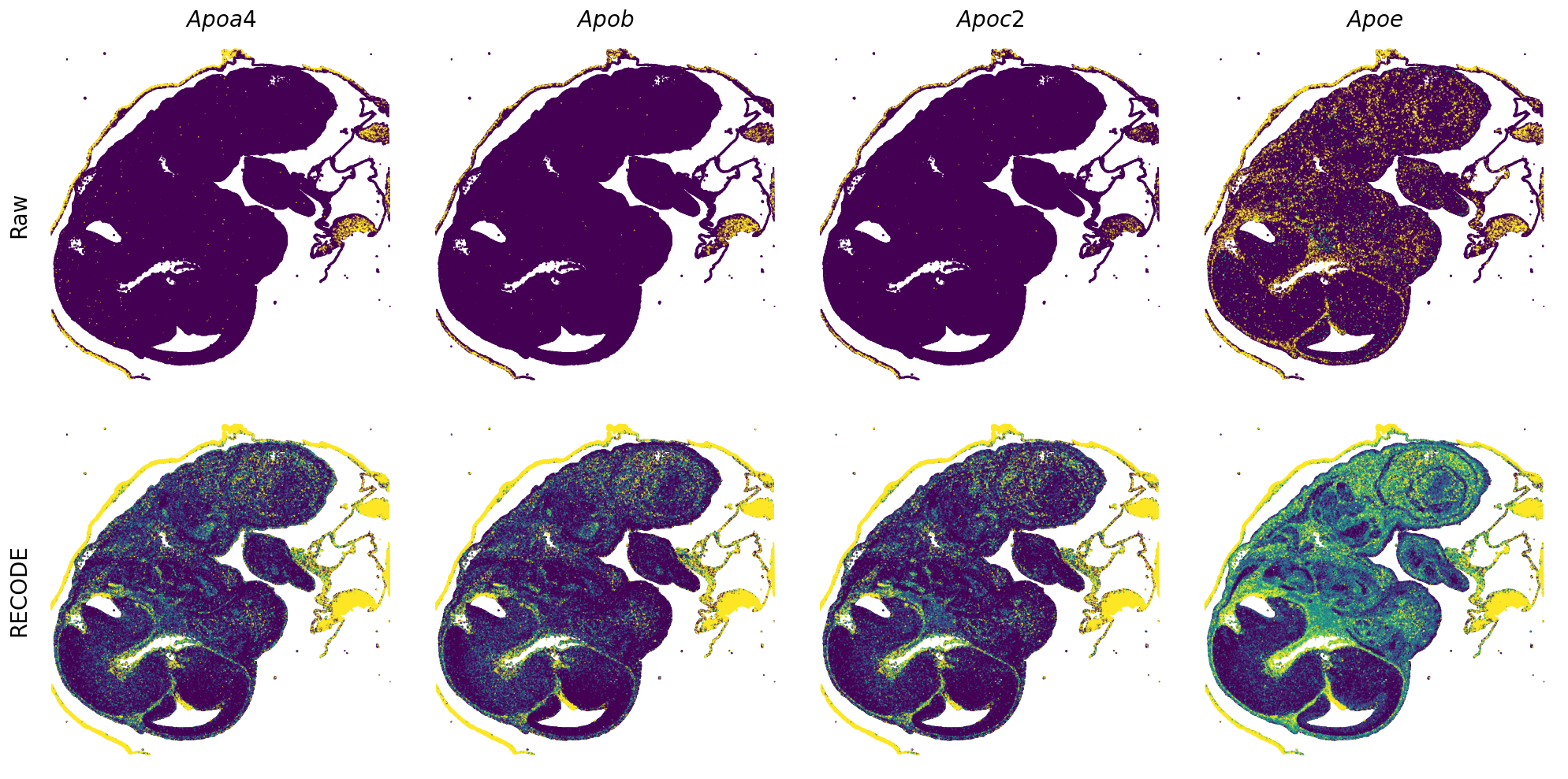 ../_images/Tutorials_Tutorial_SpatialTranscriptome_VisiumHD_14_3.png