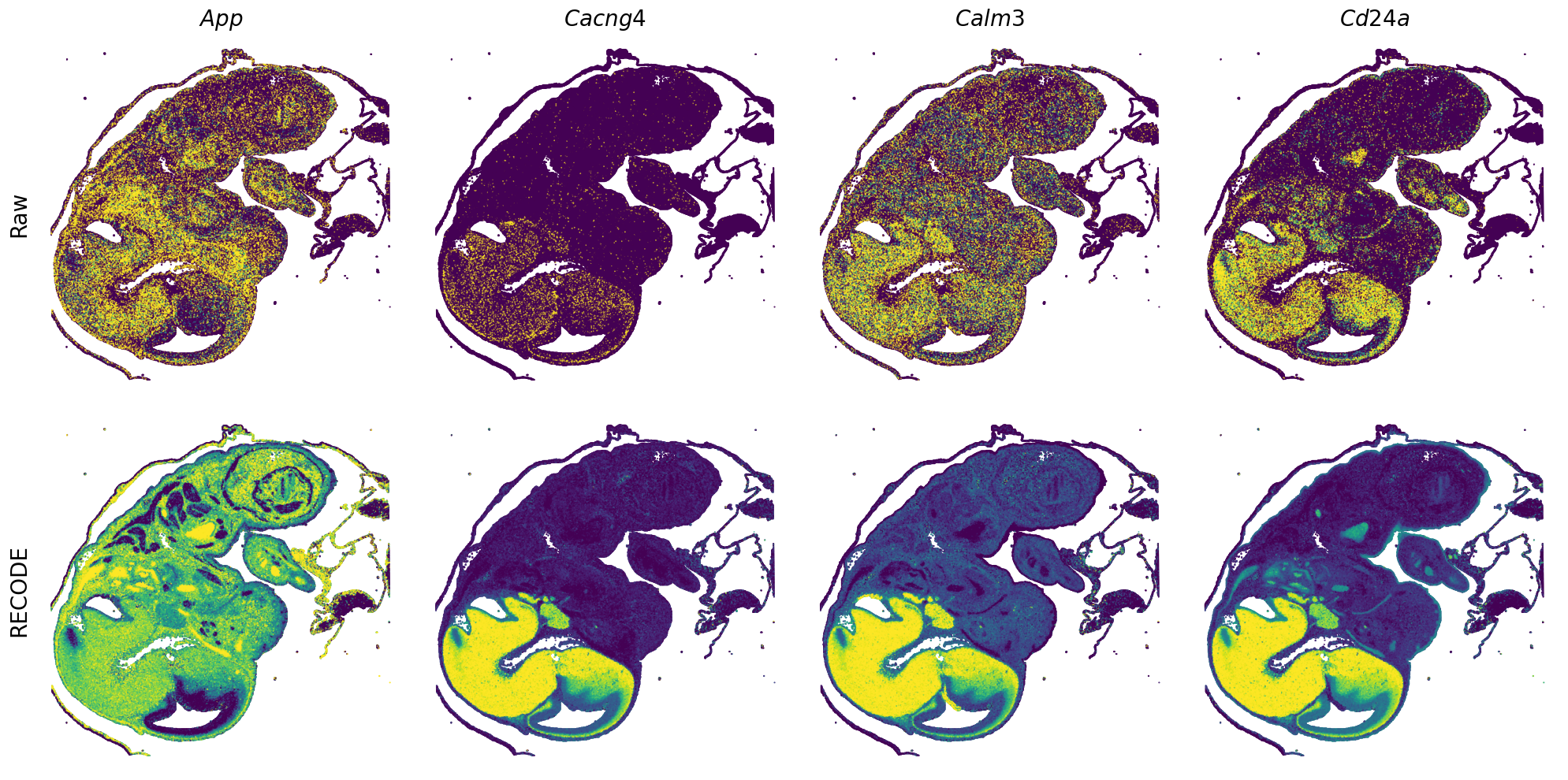 ../_images/Tutorials_Tutorial_SpatialTranscriptome_VisiumHD_14_4.png