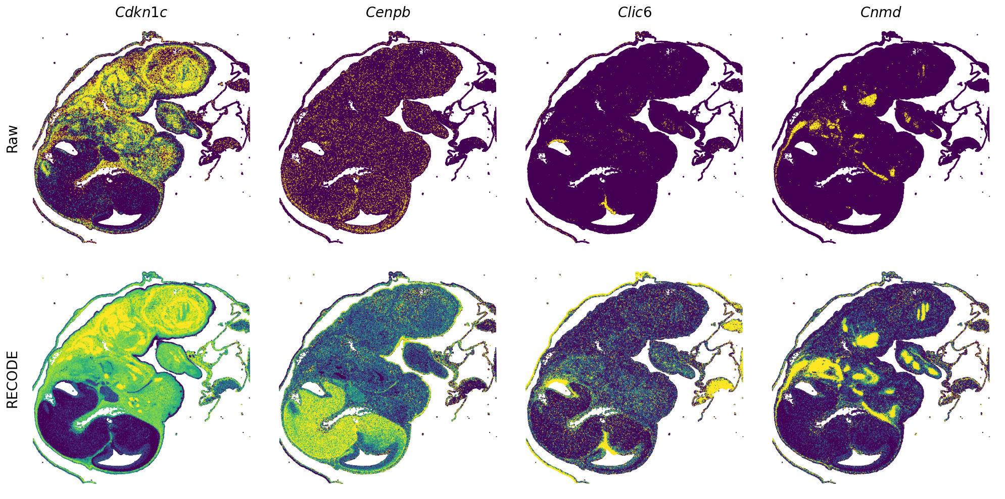 ../_images/Tutorials_Tutorial_SpatialTranscriptome_VisiumHD_14_5.png