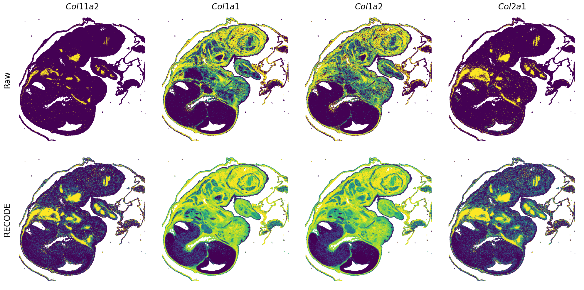 ../_images/Tutorials_Tutorial_SpatialTranscriptome_VisiumHD_14_6.png