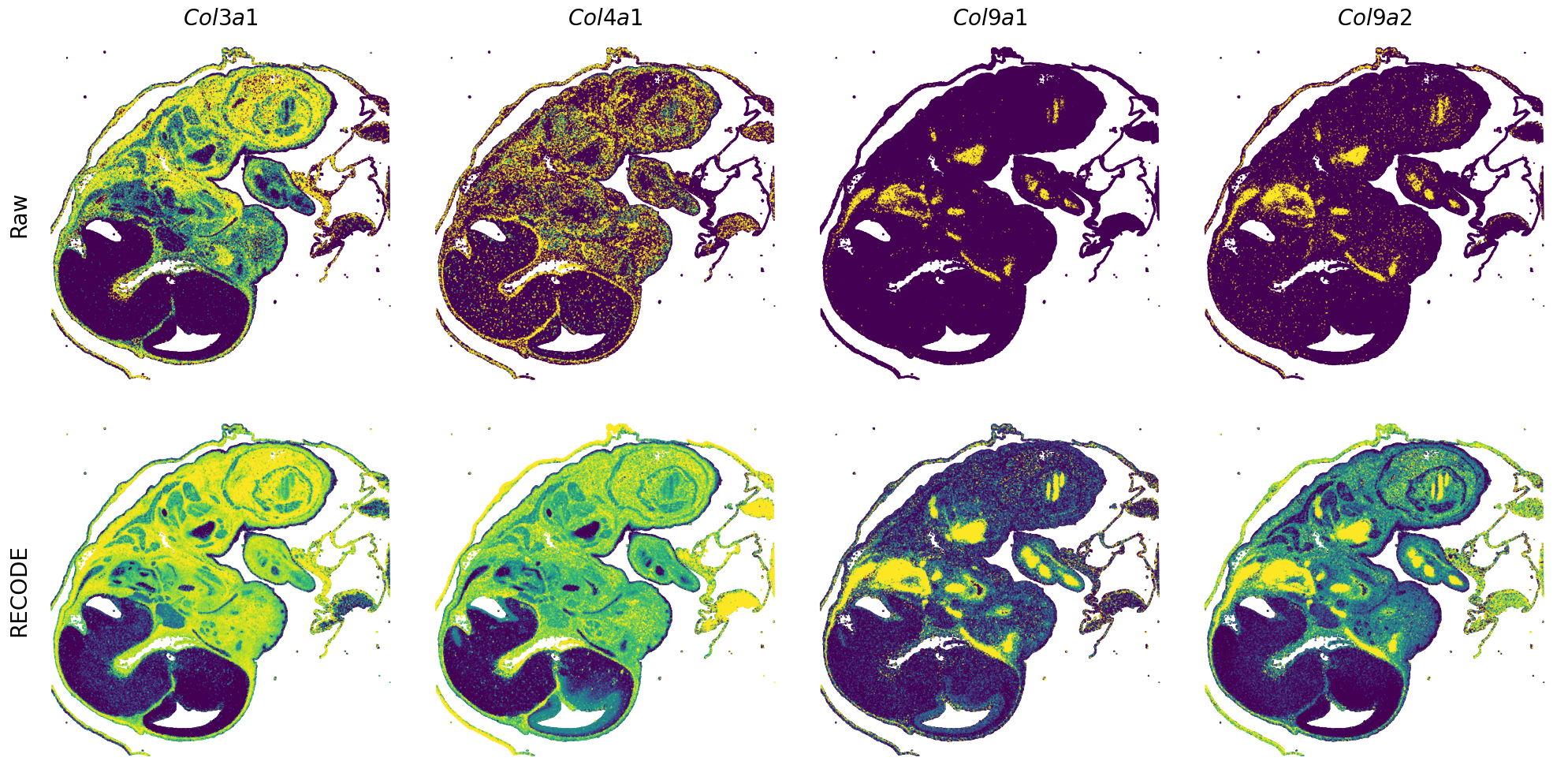 ../_images/Tutorials_Tutorial_SpatialTranscriptome_VisiumHD_14_7.png