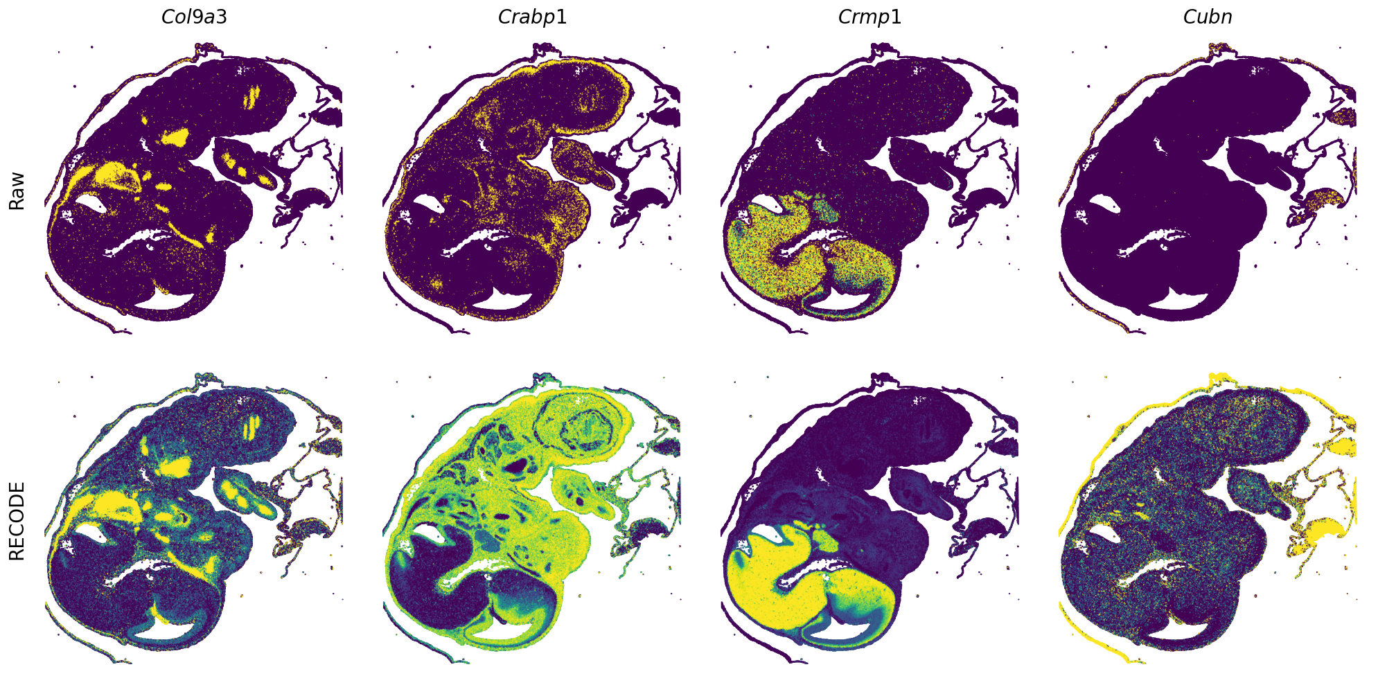 ../_images/Tutorials_Tutorial_SpatialTranscriptome_VisiumHD_14_8.png