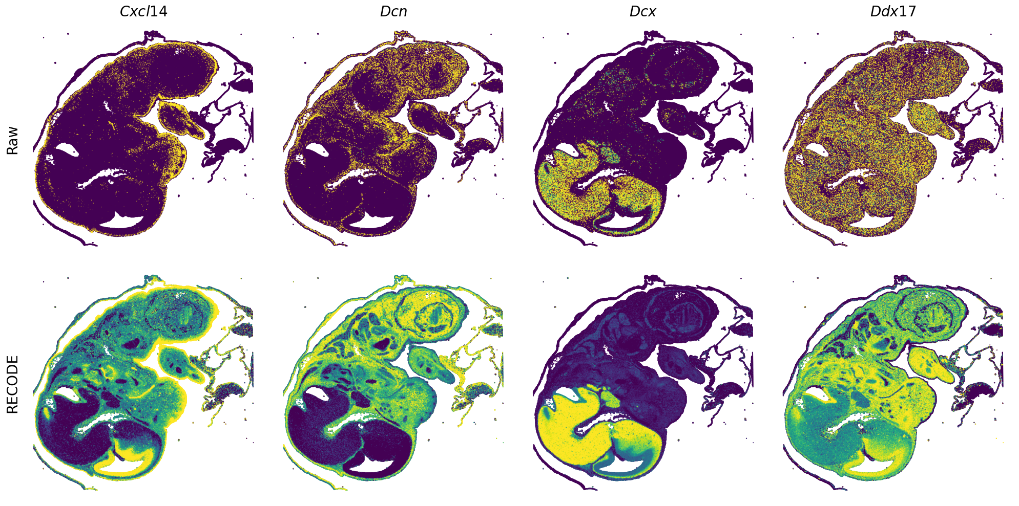 ../_images/Tutorials_Tutorial_SpatialTranscriptome_VisiumHD_14_9.png