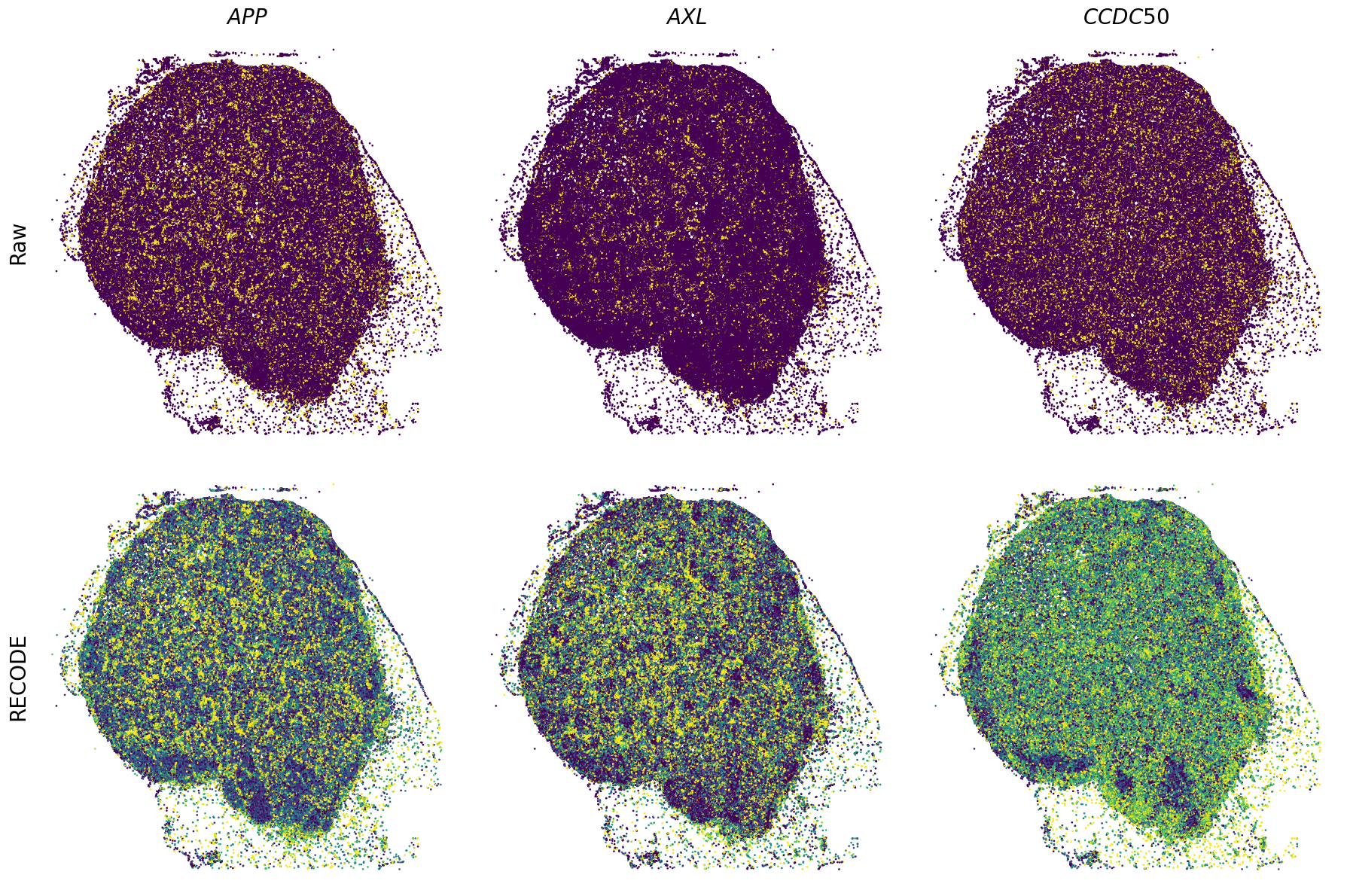 ../_images/Tutorials_Tutorial_SpatialTranscriptome_XeniumPrime_14_0.png