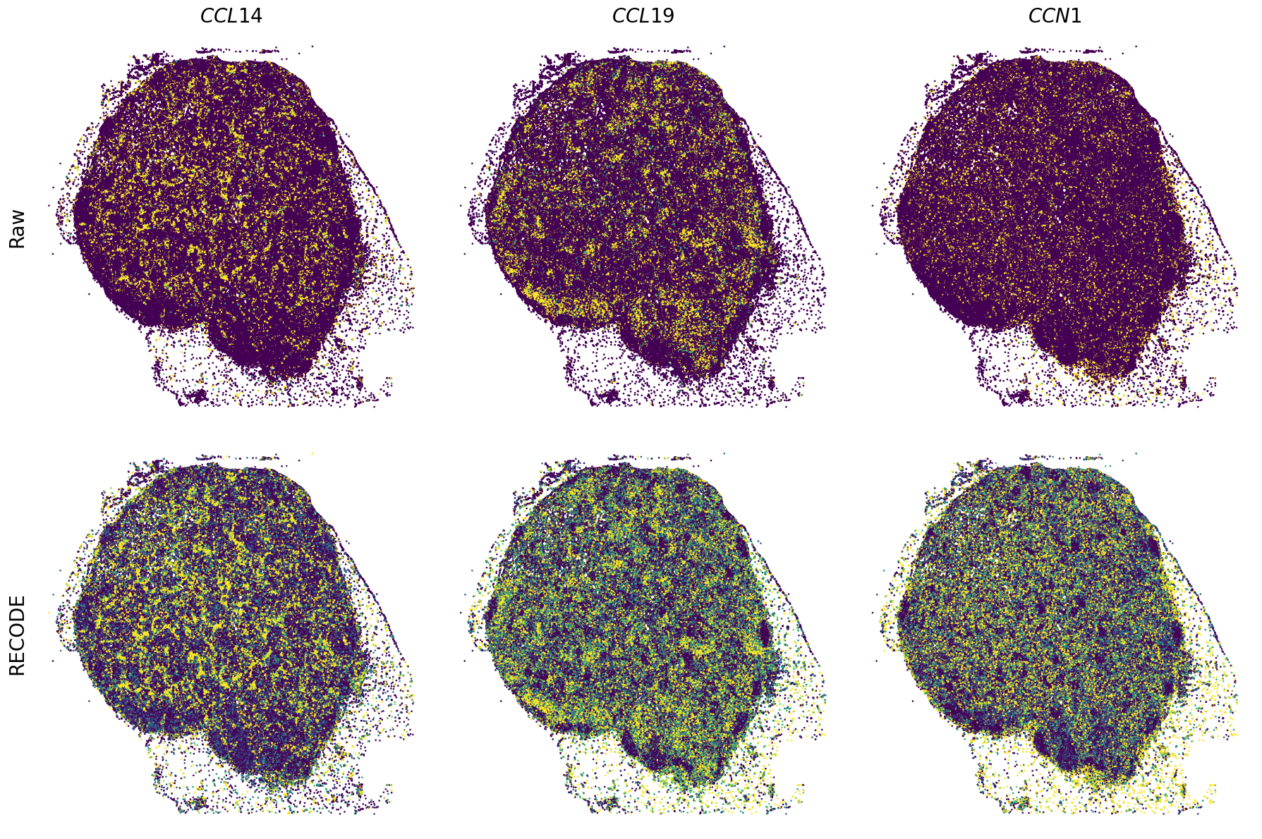 ../_images/Tutorials_Tutorial_SpatialTranscriptome_XeniumPrime_14_1.png