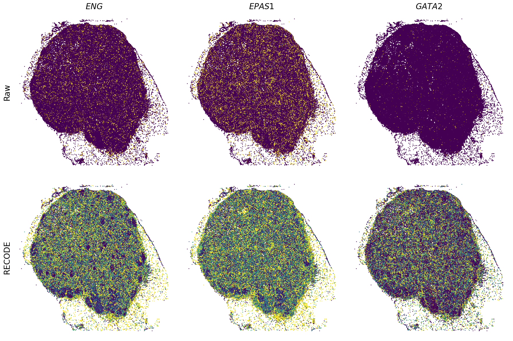 ../_images/Tutorials_Tutorial_SpatialTranscriptome_XeniumPrime_14_10.png