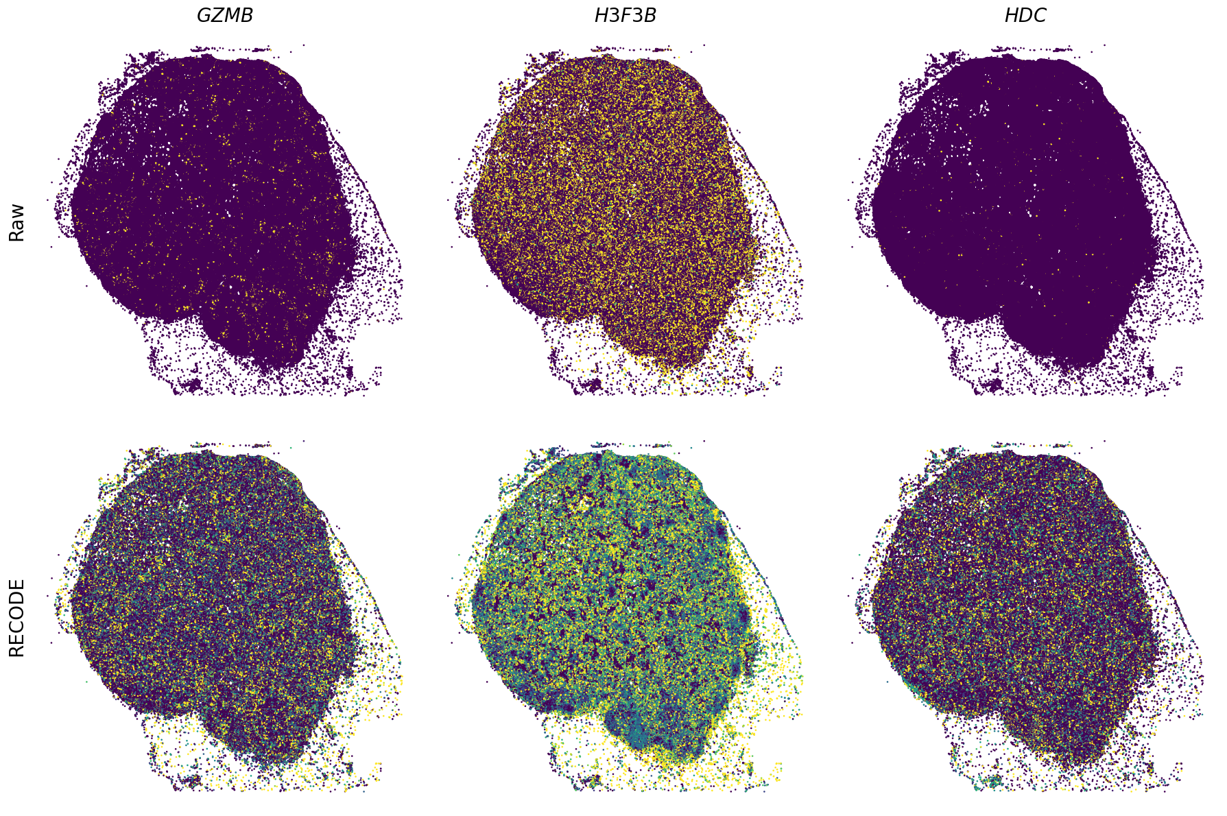 ../_images/Tutorials_Tutorial_SpatialTranscriptome_XeniumPrime_14_11.png