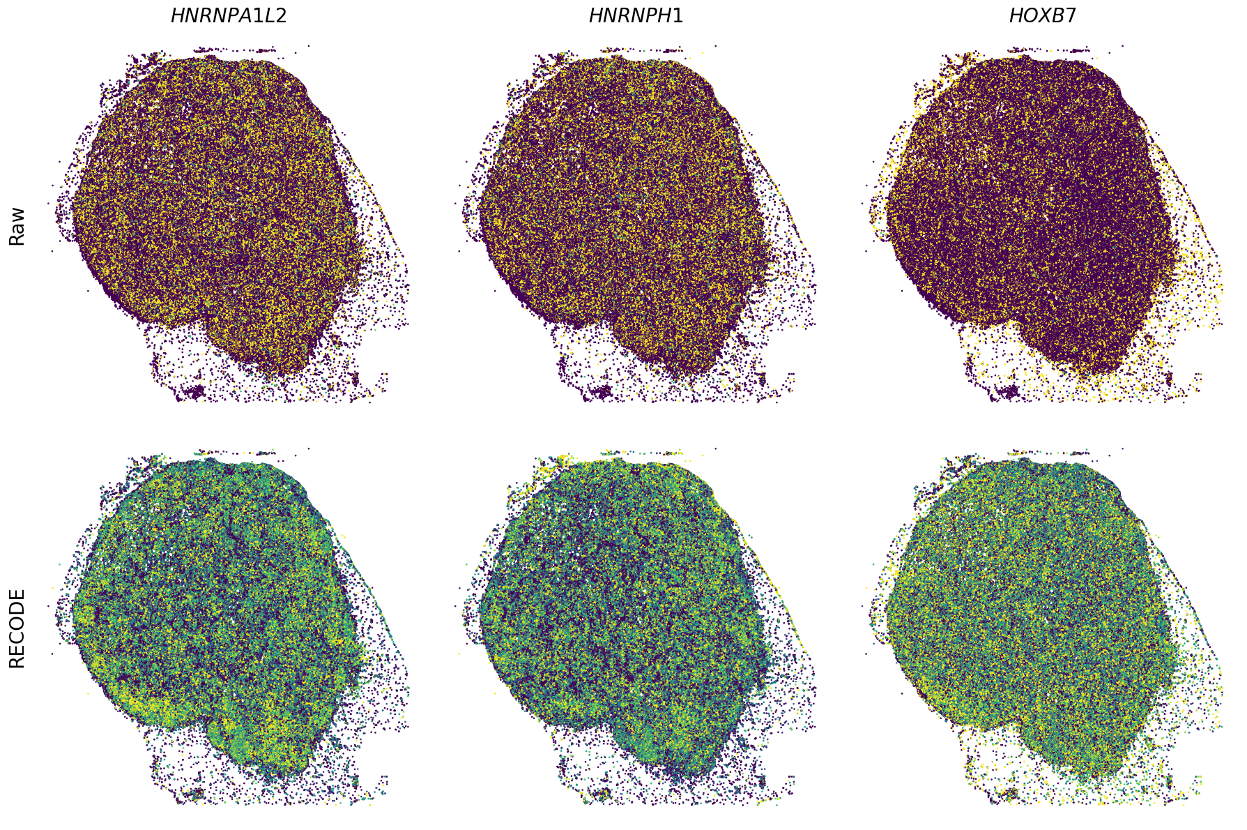 ../_images/Tutorials_Tutorial_SpatialTranscriptome_XeniumPrime_14_12.png