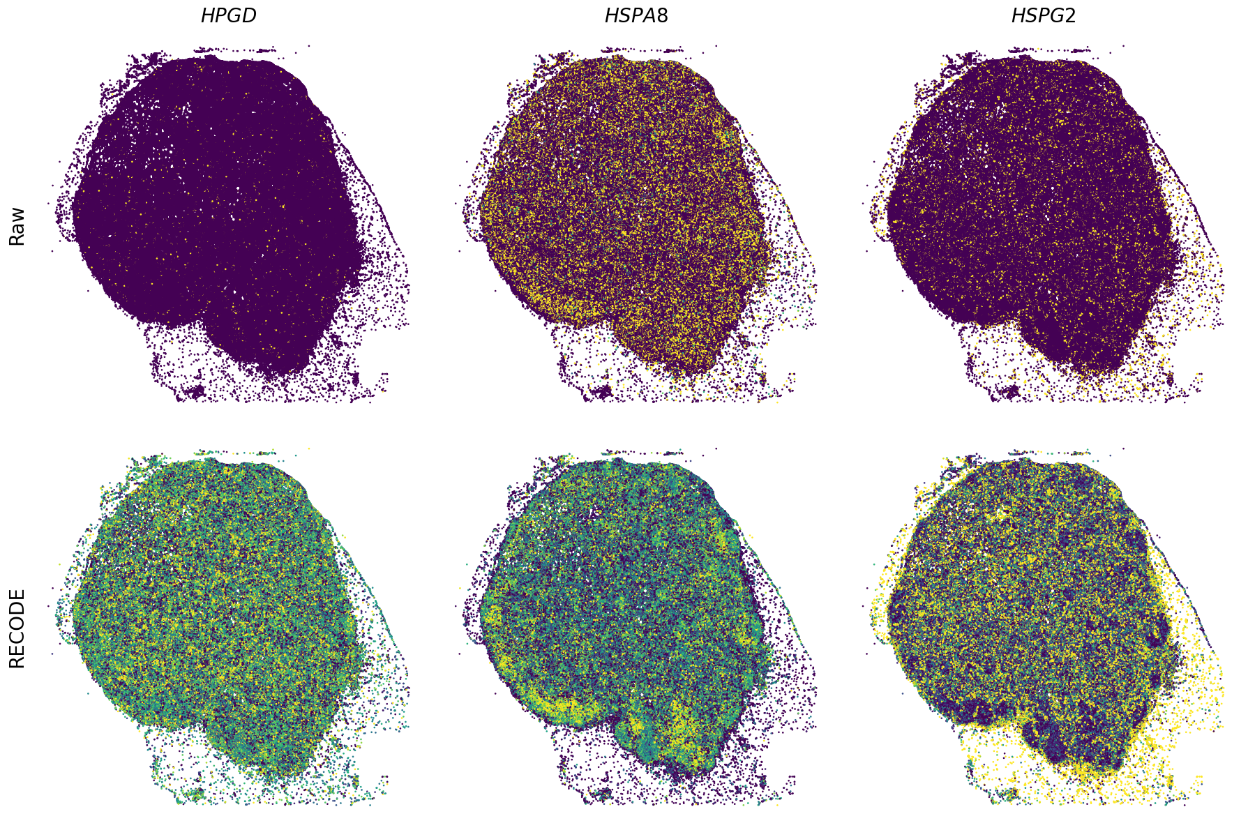 ../_images/Tutorials_Tutorial_SpatialTranscriptome_XeniumPrime_14_13.png