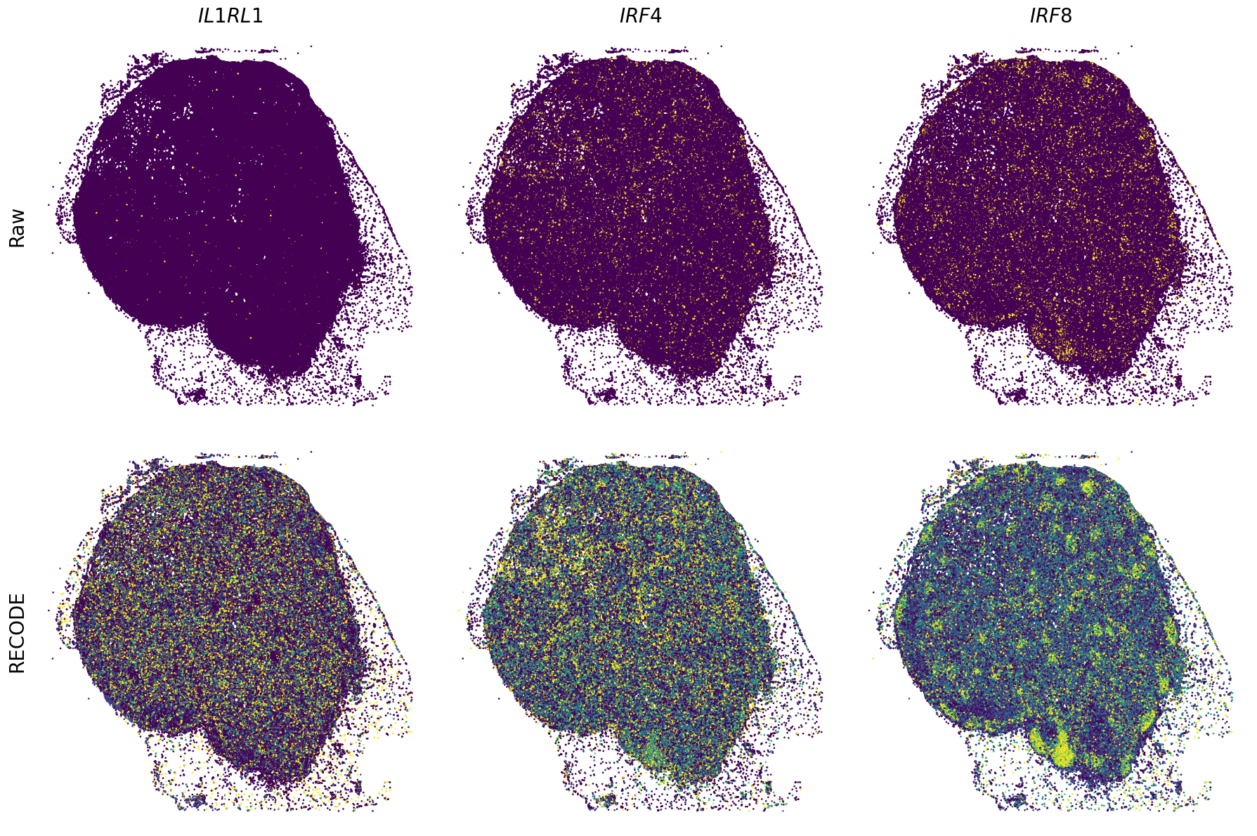 ../_images/Tutorials_Tutorial_SpatialTranscriptome_XeniumPrime_14_14.png