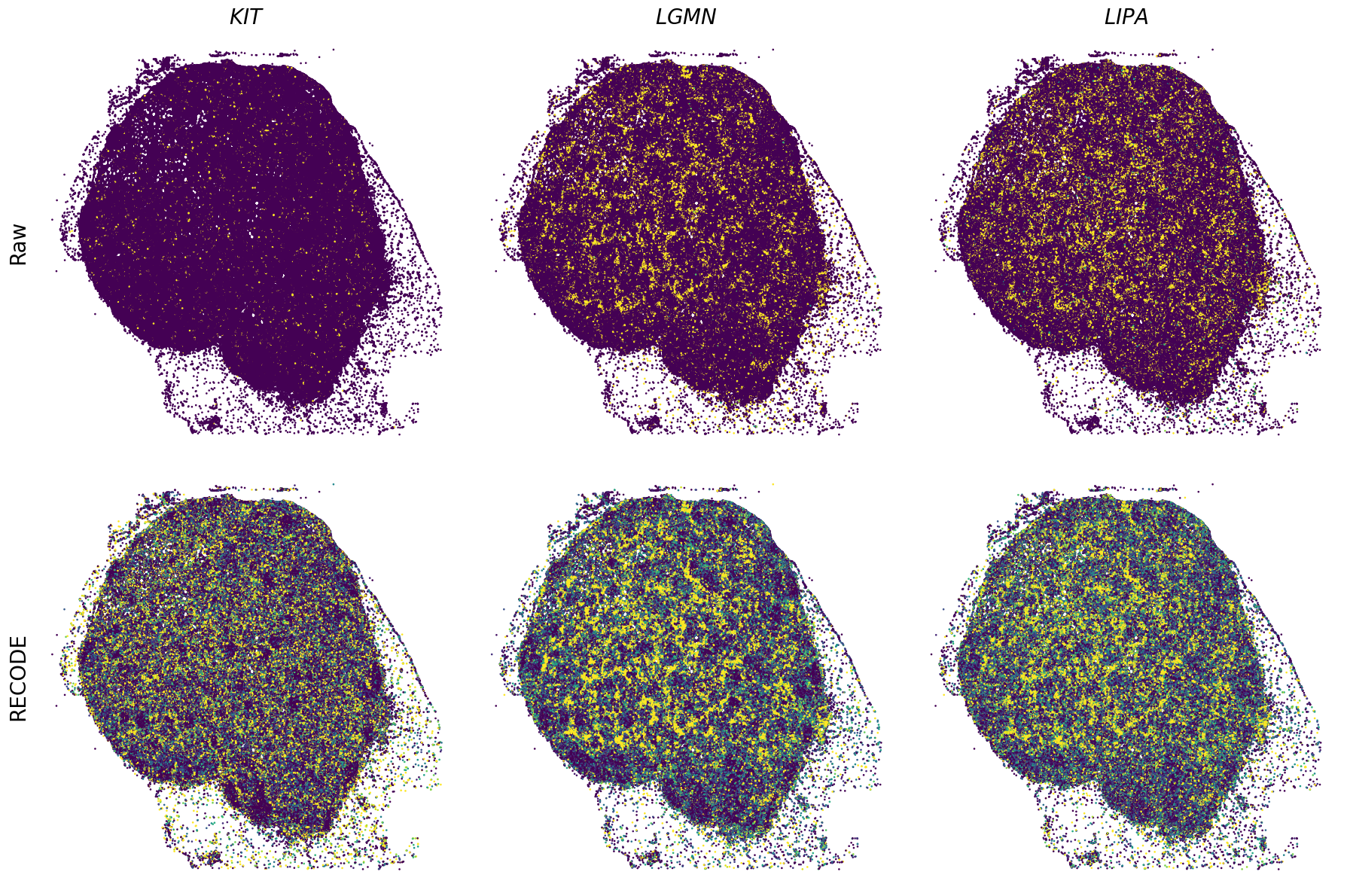 ../_images/Tutorials_Tutorial_SpatialTranscriptome_XeniumPrime_14_15.png