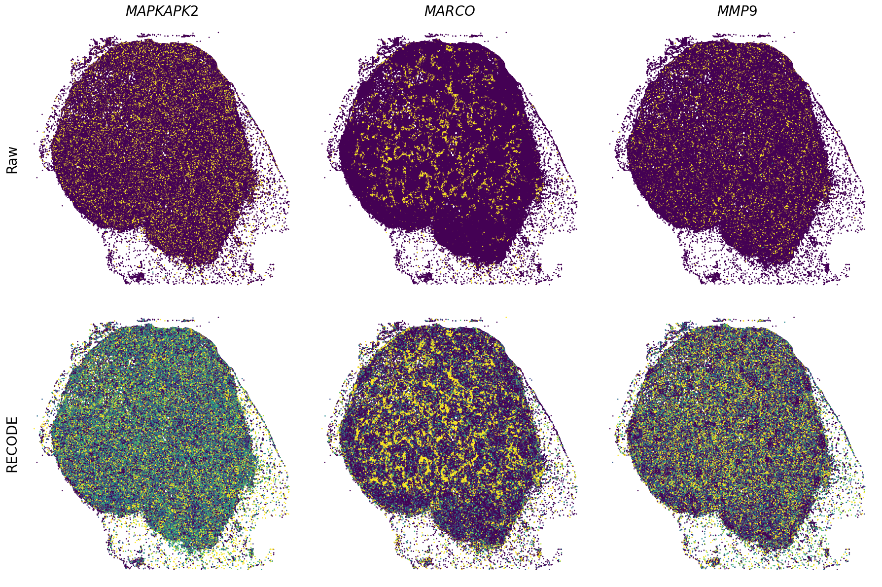 ../_images/Tutorials_Tutorial_SpatialTranscriptome_XeniumPrime_14_16.png