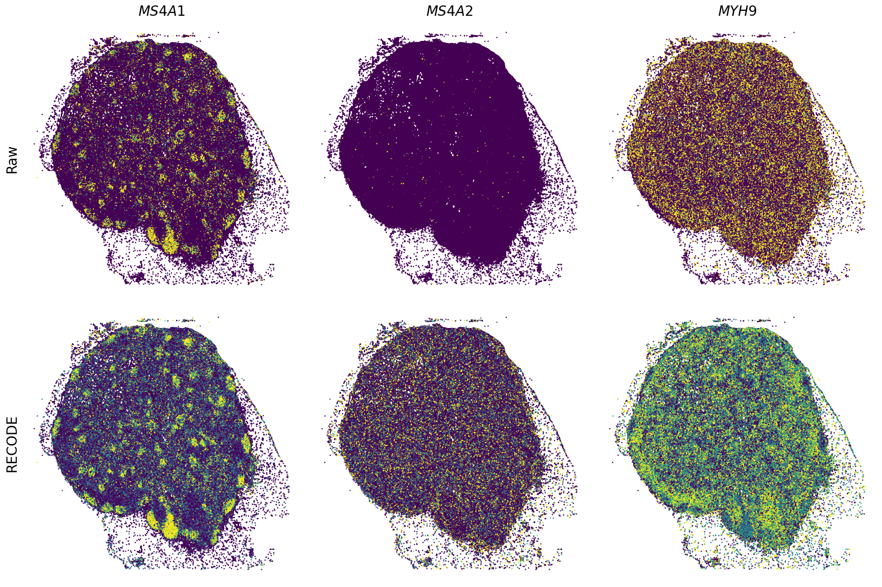 ../_images/Tutorials_Tutorial_SpatialTranscriptome_XeniumPrime_14_17.png