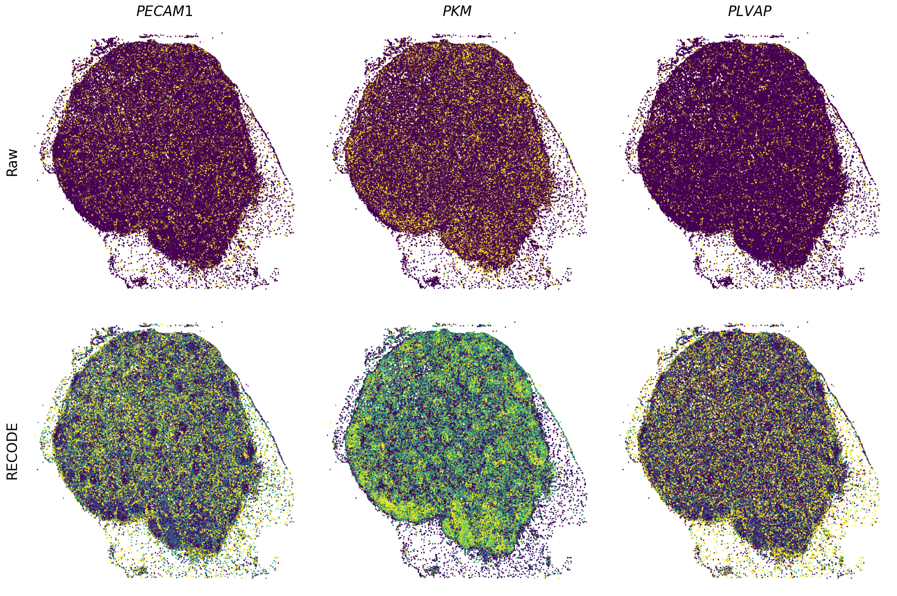 ../_images/Tutorials_Tutorial_SpatialTranscriptome_XeniumPrime_14_19.png