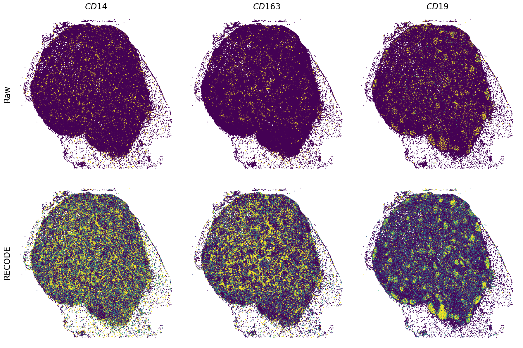 ../_images/Tutorials_Tutorial_SpatialTranscriptome_XeniumPrime_14_2.png