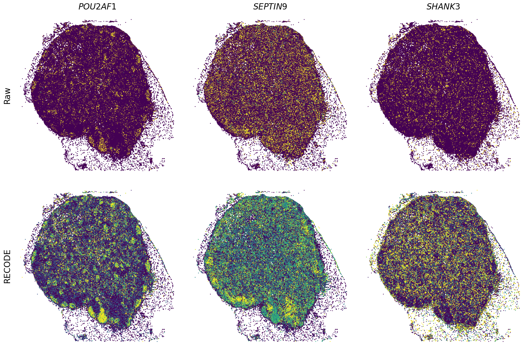 ../_images/Tutorials_Tutorial_SpatialTranscriptome_XeniumPrime_14_20.png