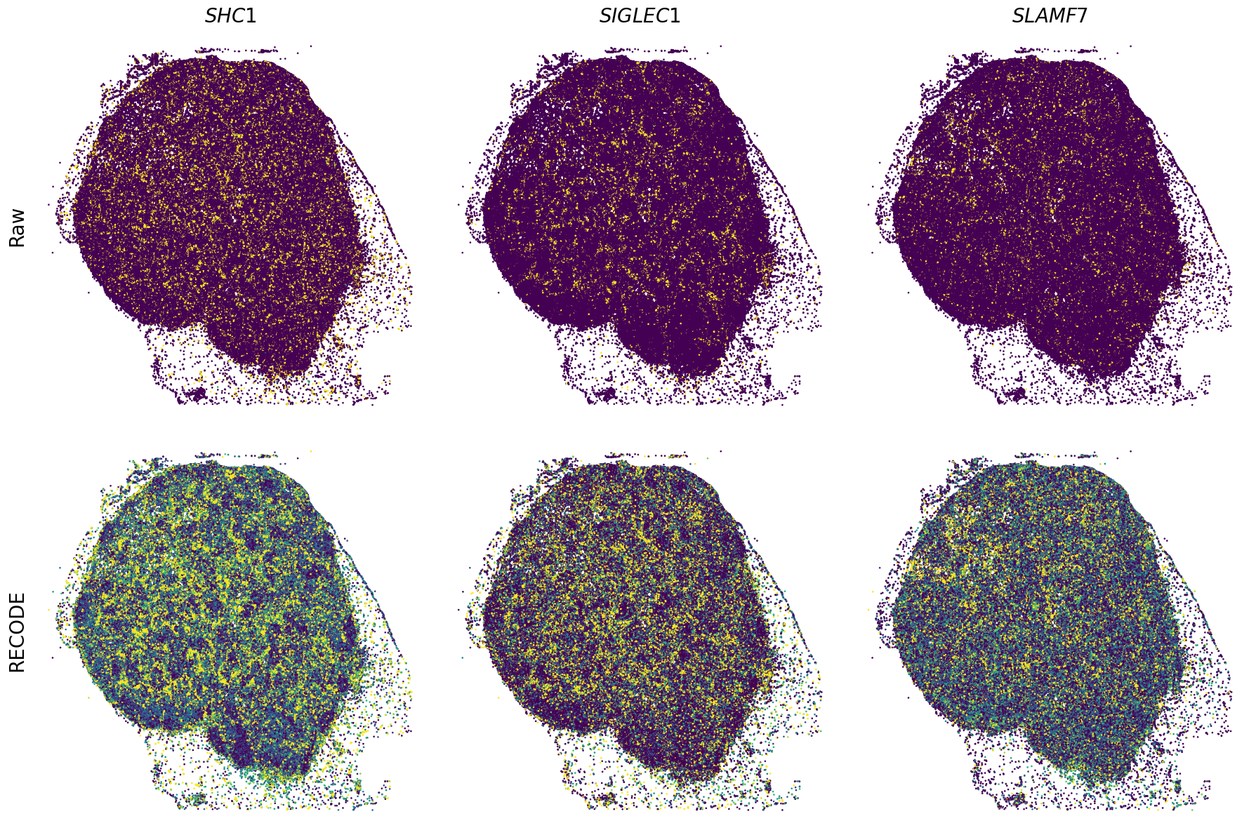 ../_images/Tutorials_Tutorial_SpatialTranscriptome_XeniumPrime_14_21.png