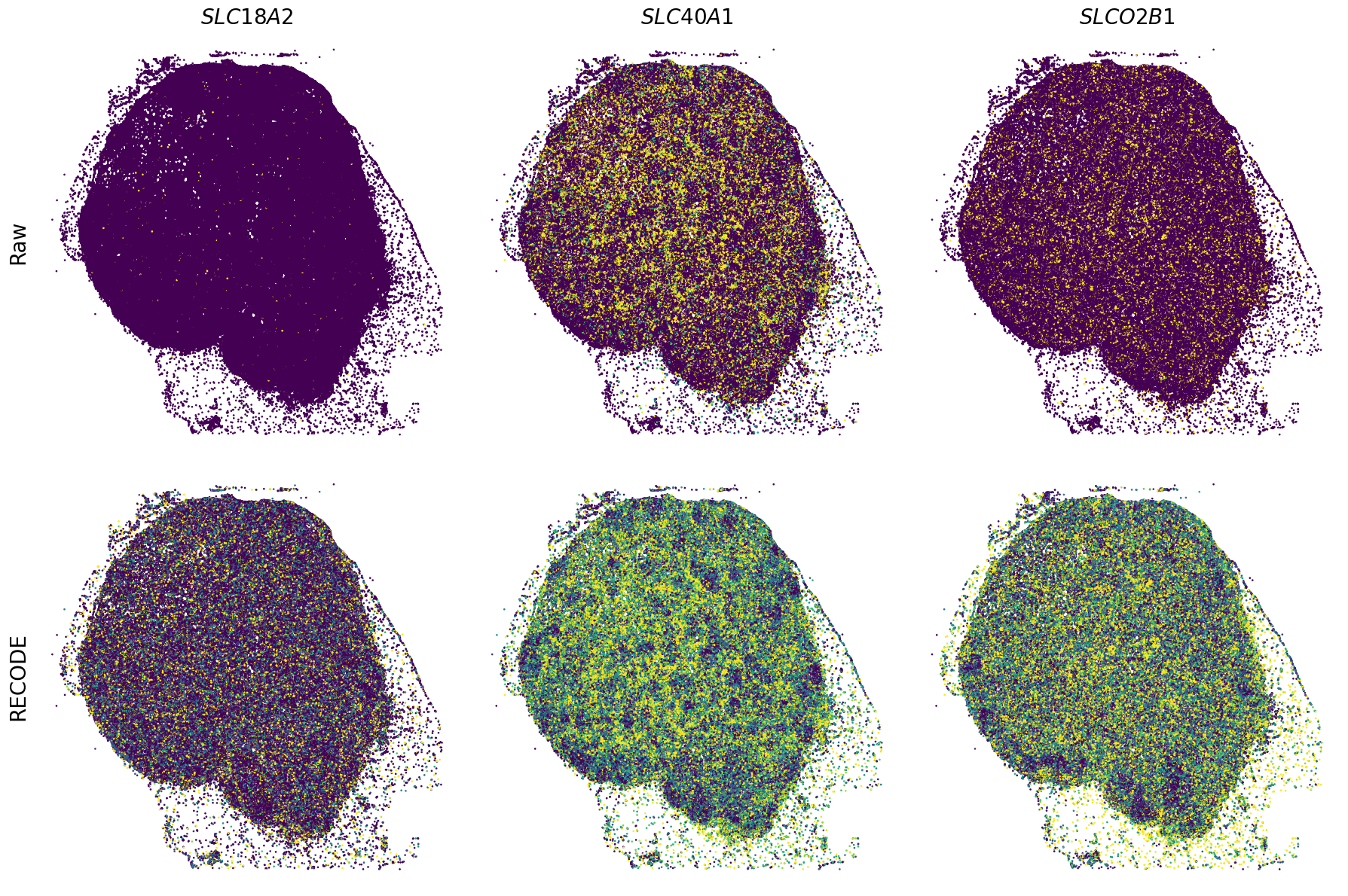 ../_images/Tutorials_Tutorial_SpatialTranscriptome_XeniumPrime_14_22.png