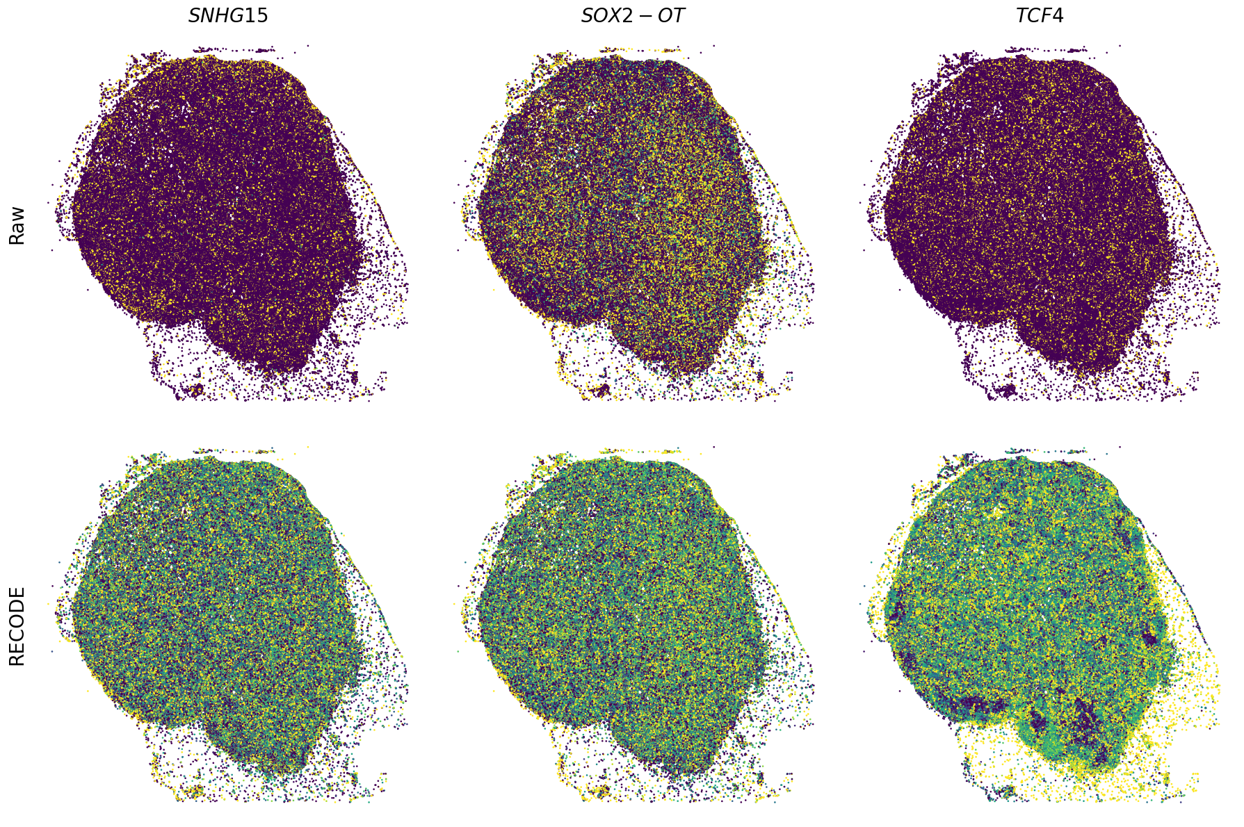 ../_images/Tutorials_Tutorial_SpatialTranscriptome_XeniumPrime_14_23.png