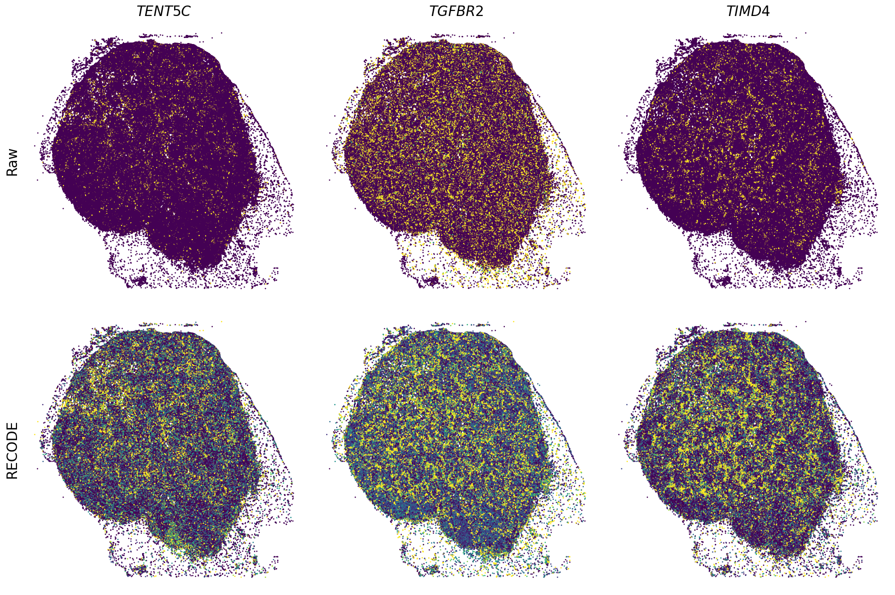 ../_images/Tutorials_Tutorial_SpatialTranscriptome_XeniumPrime_14_24.png